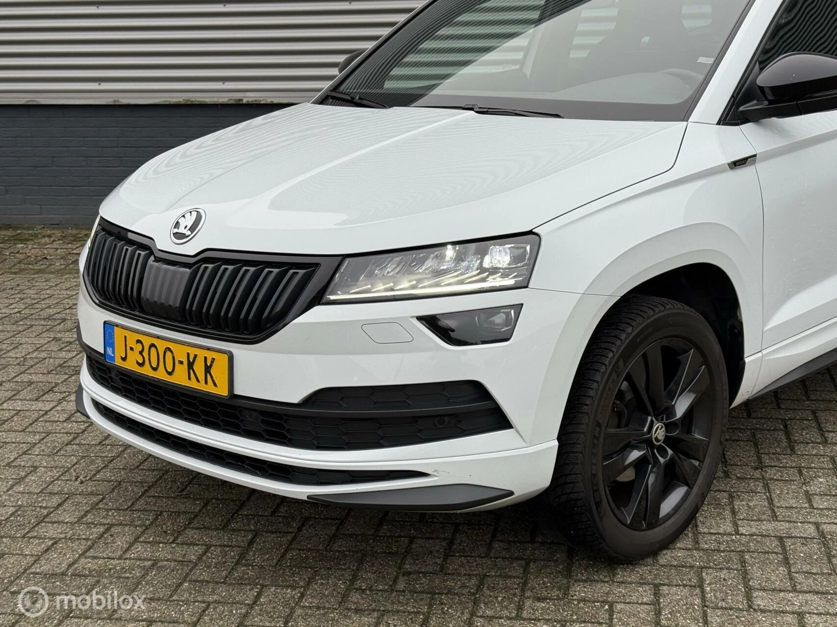 Hoofdafbeelding Škoda Karoq