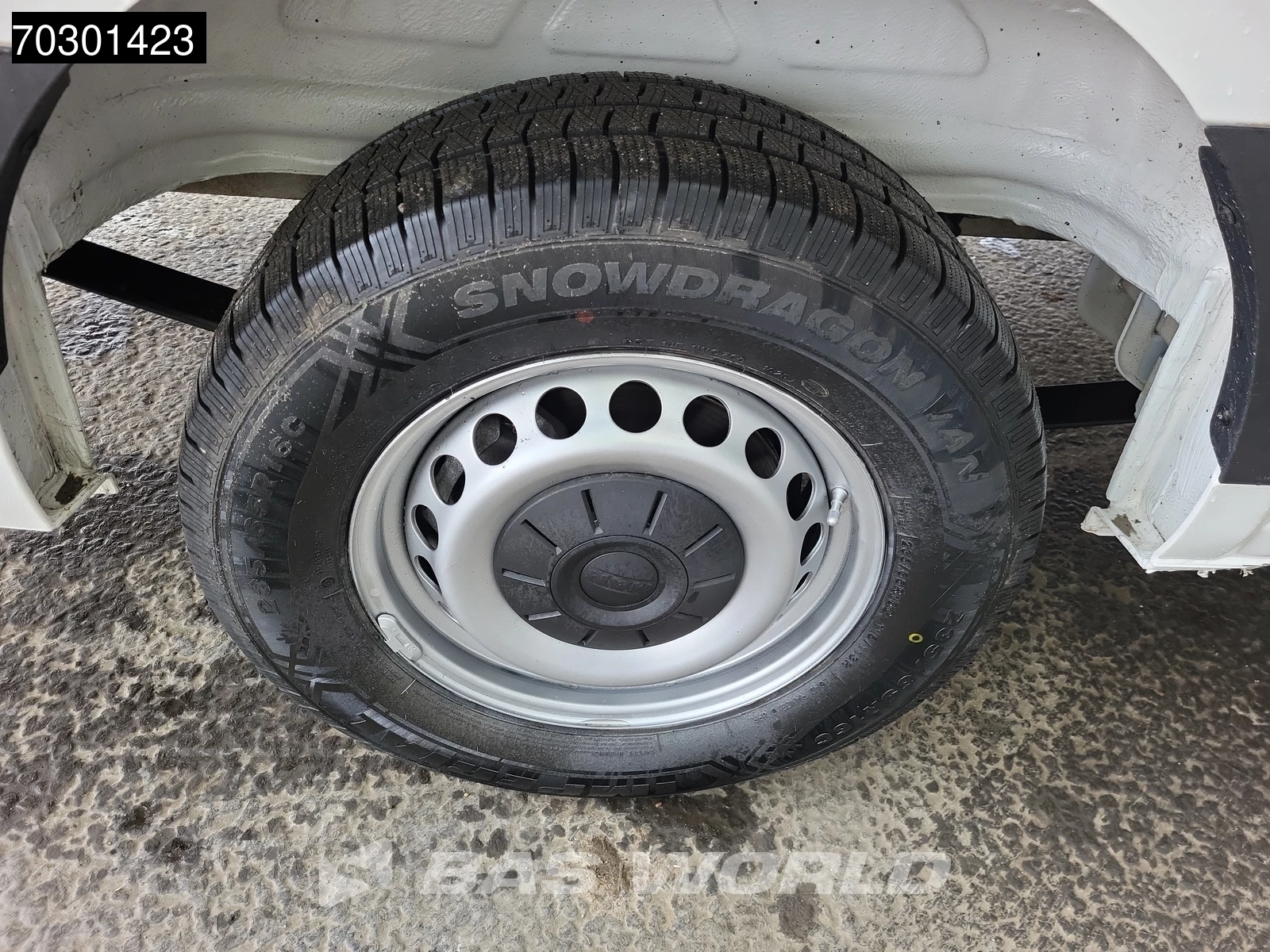 Hoofdafbeelding MAN TGE