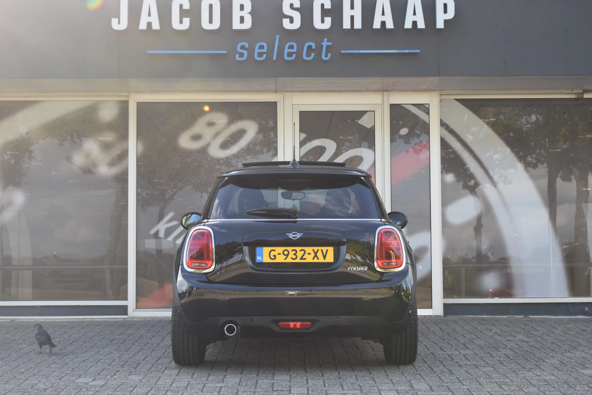 Hoofdafbeelding MINI Cooper