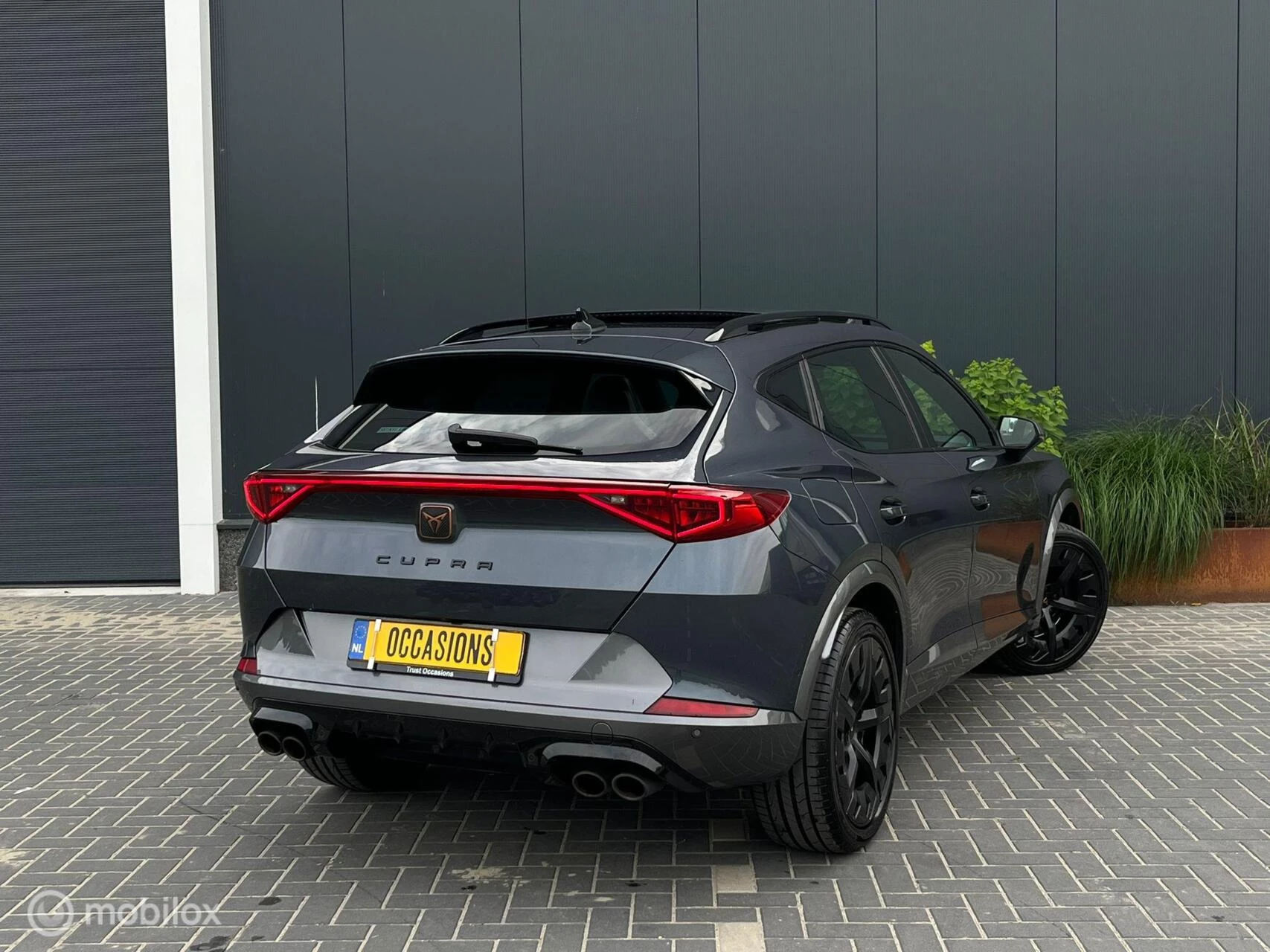 Hoofdafbeelding CUPRA Formentor