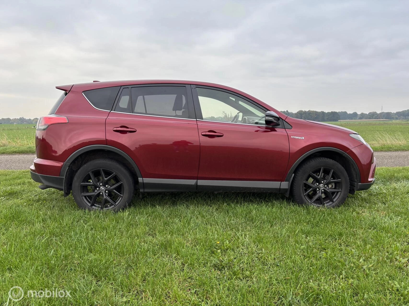 Hoofdafbeelding Toyota RAV4