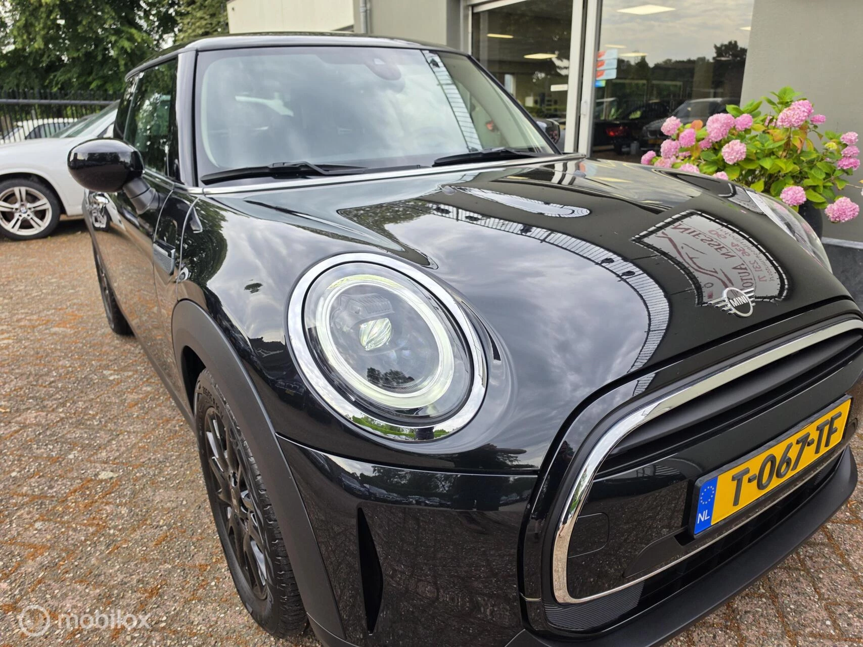 Hoofdafbeelding MINI Cooper