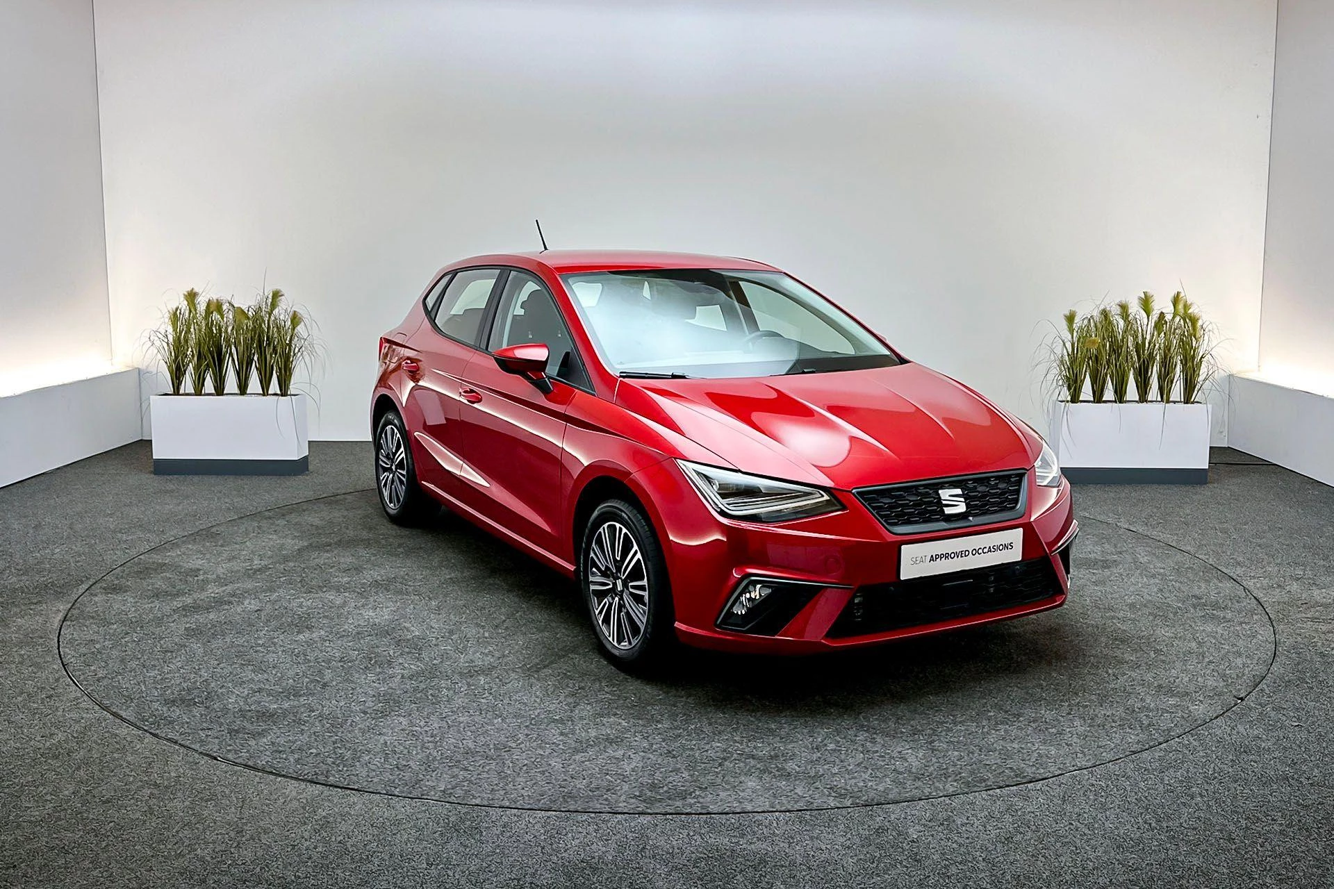 Hoofdafbeelding SEAT Ibiza