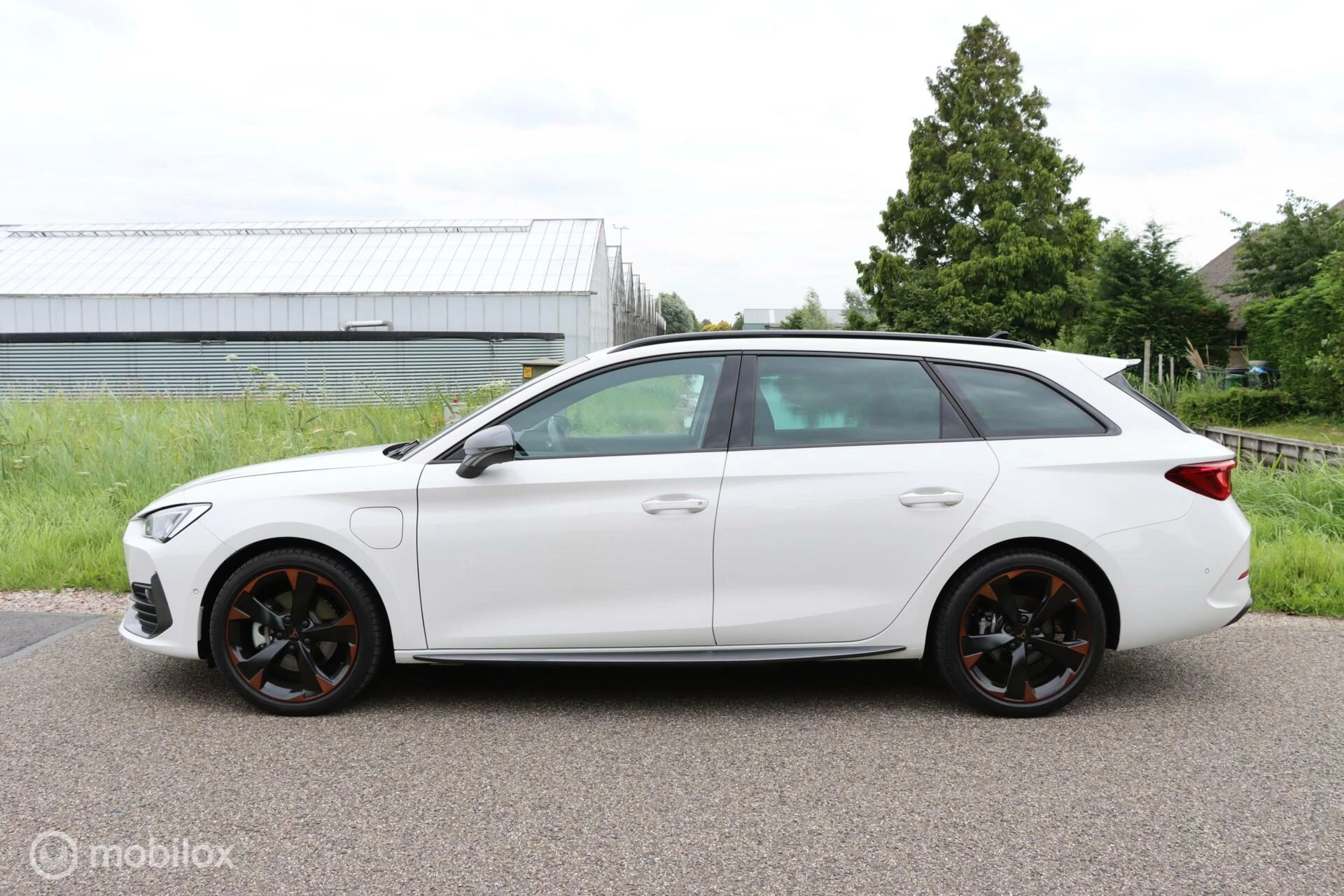 Hoofdafbeelding CUPRA Leon Sportstourer