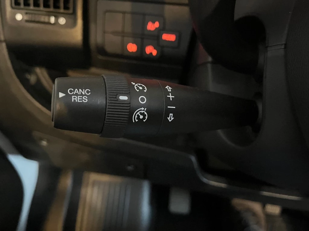 Hoofdafbeelding McLouis YEARLING