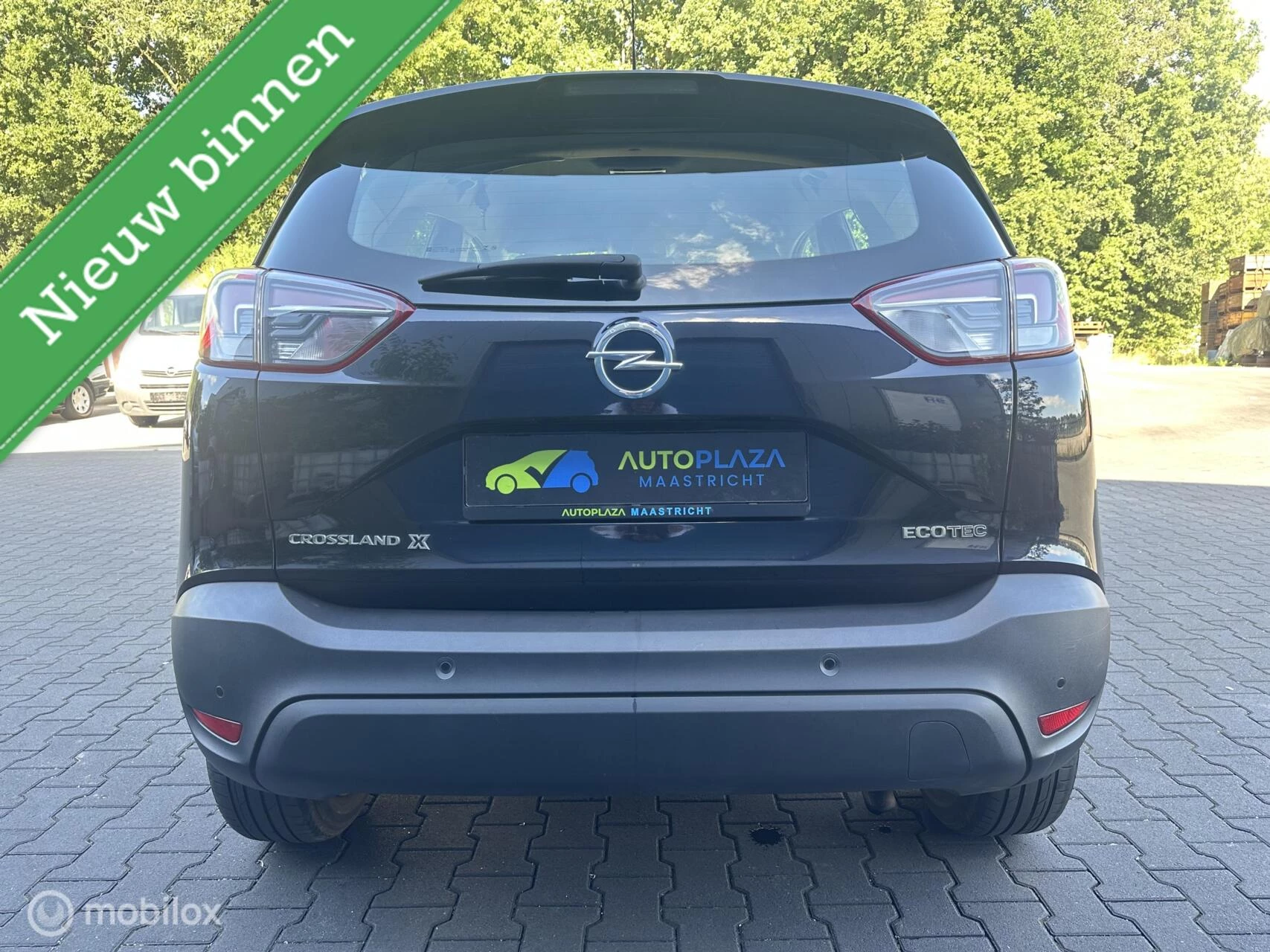 Hoofdafbeelding Opel Crossland X