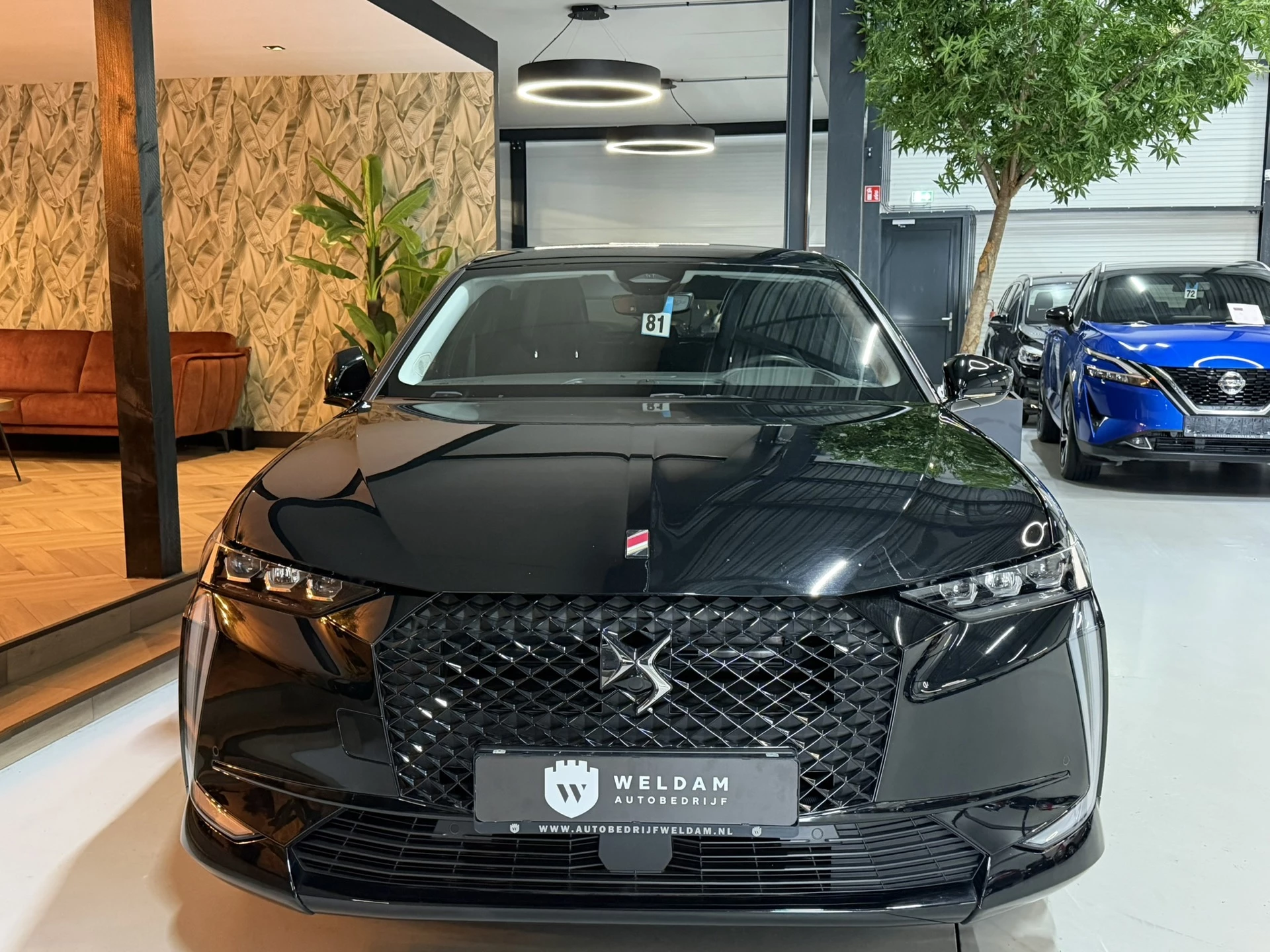 Hoofdafbeelding DS DS 4