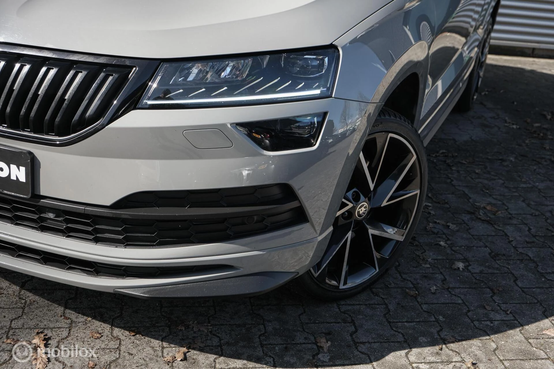 Hoofdafbeelding Škoda Karoq