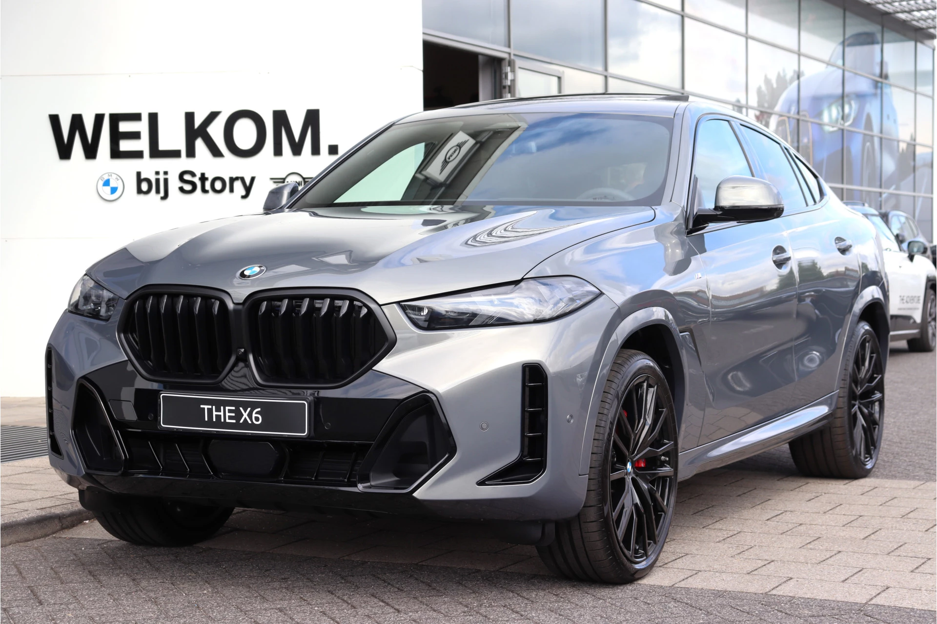 Hoofdafbeelding BMW X6