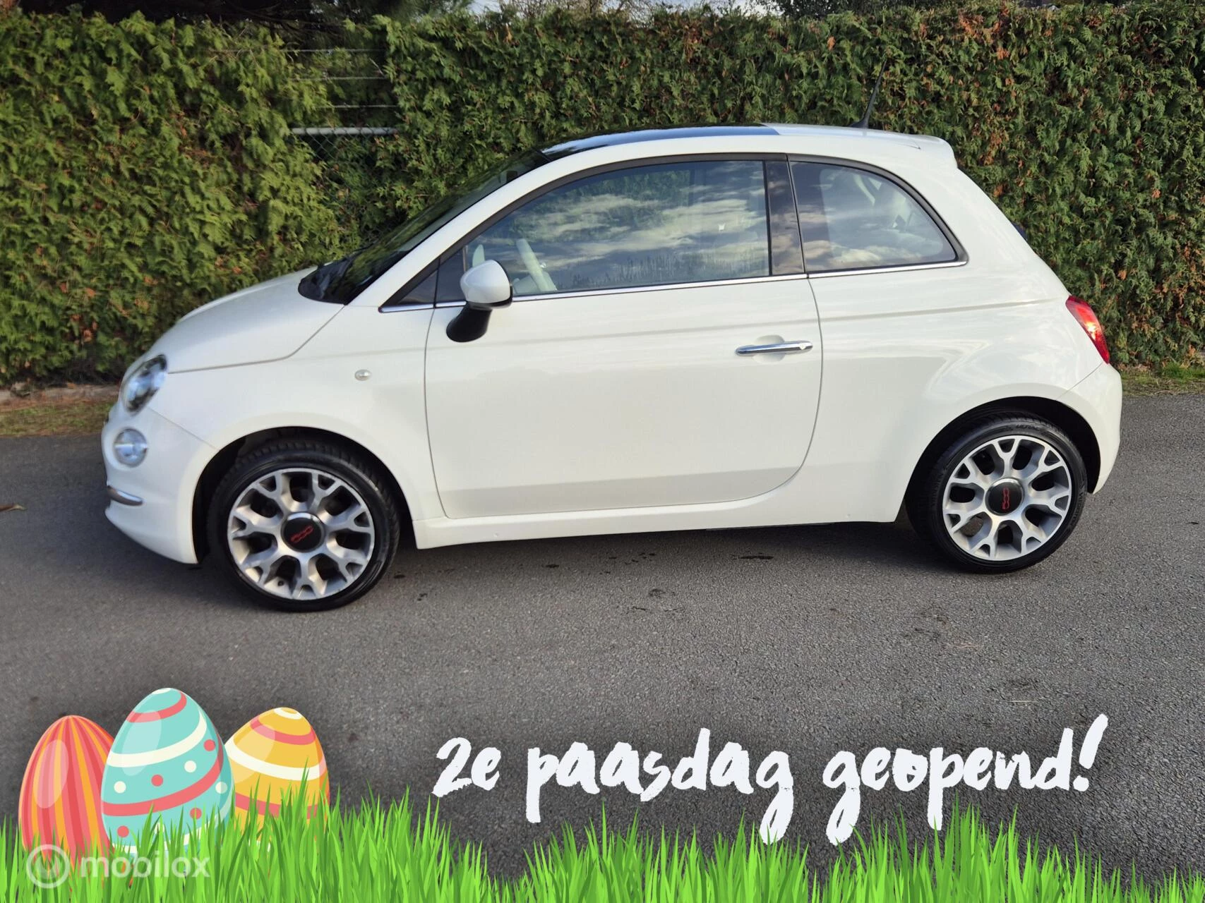 Hoofdafbeelding Fiat 500