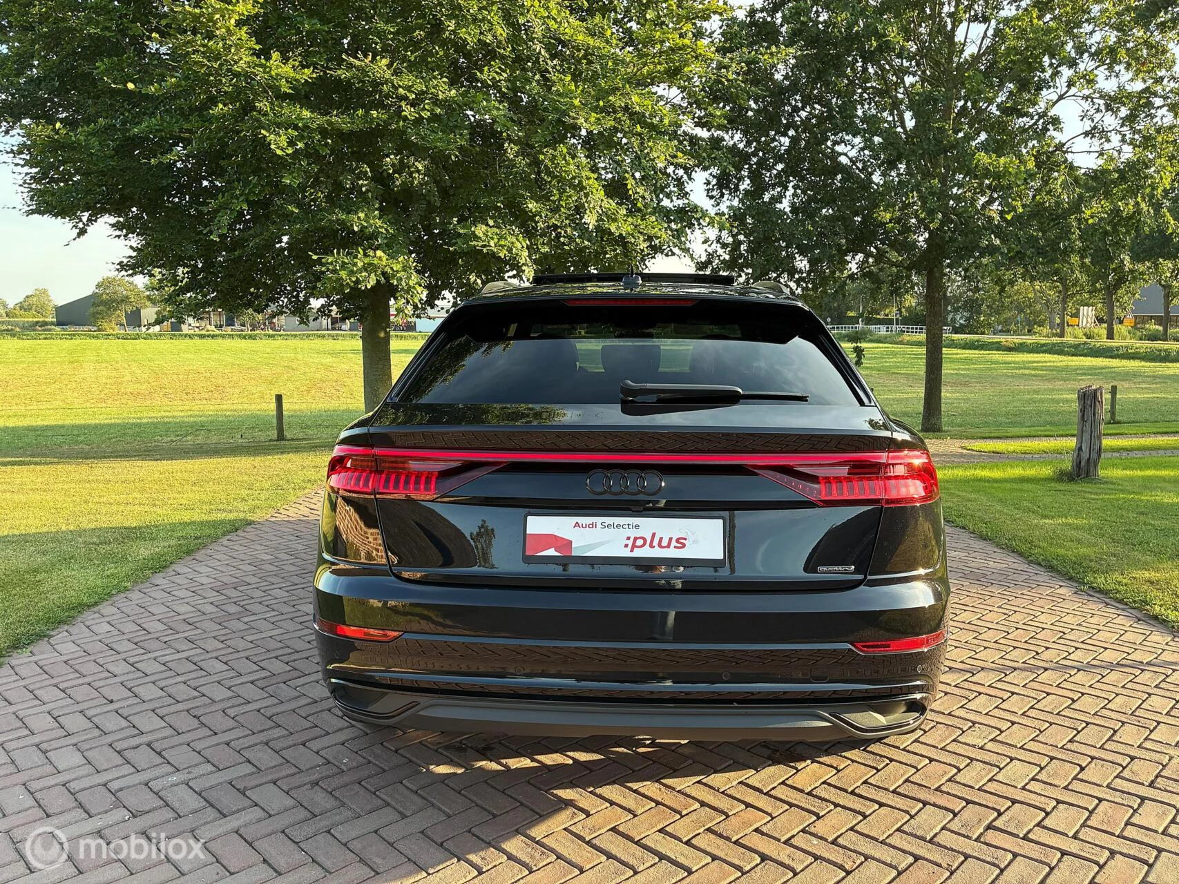 Hoofdafbeelding Audi Q8