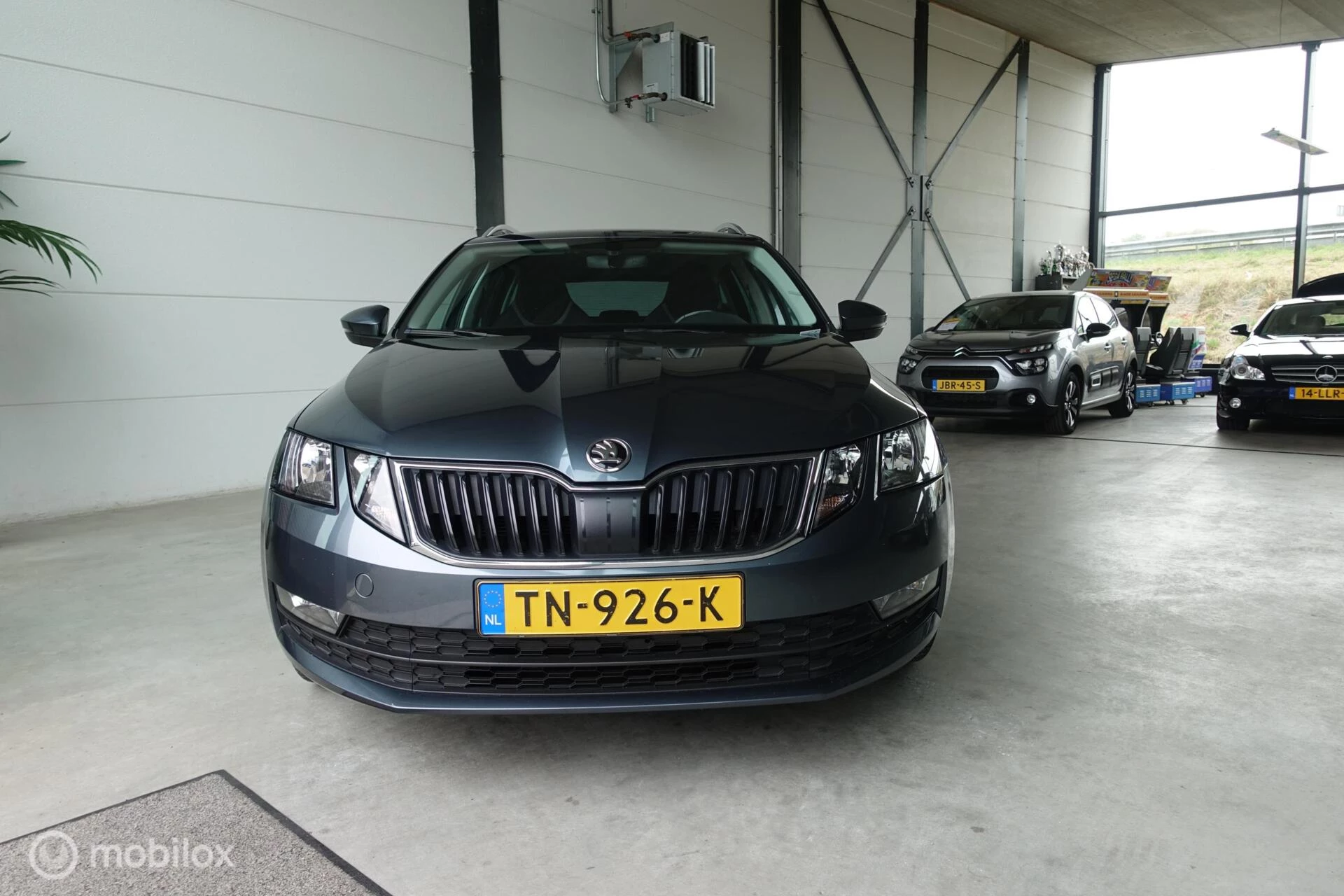 Hoofdafbeelding Škoda Octavia