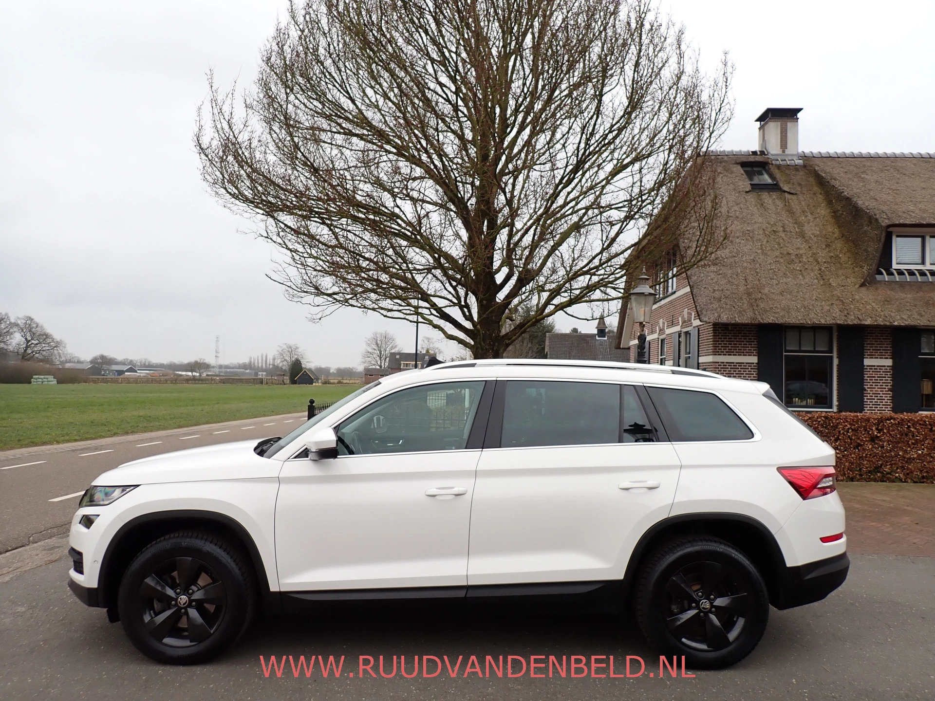 Hoofdafbeelding Škoda Kodiaq