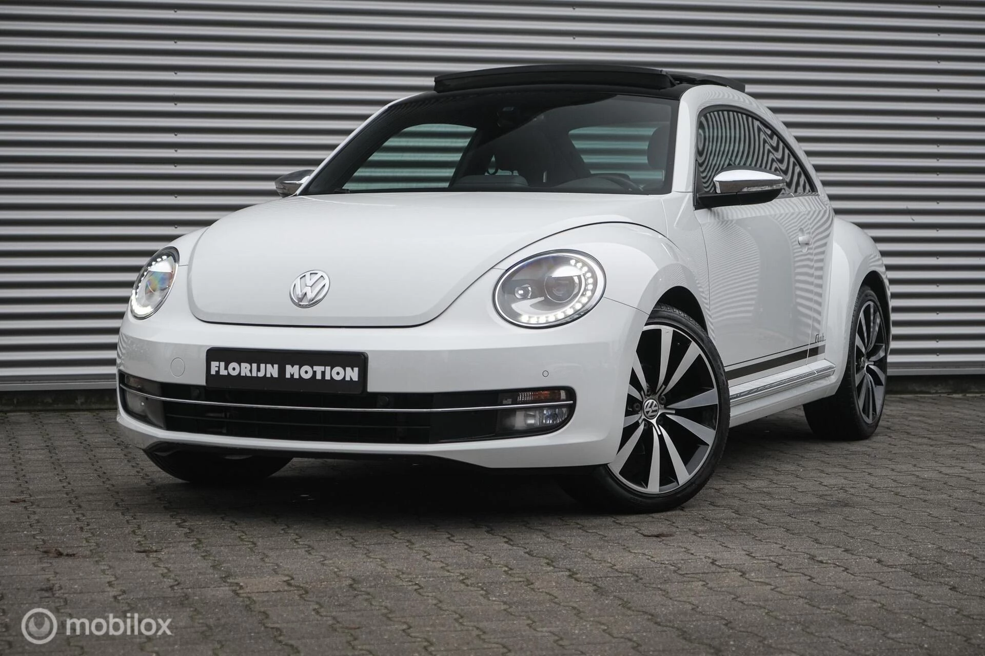 Hoofdafbeelding Volkswagen Beetle