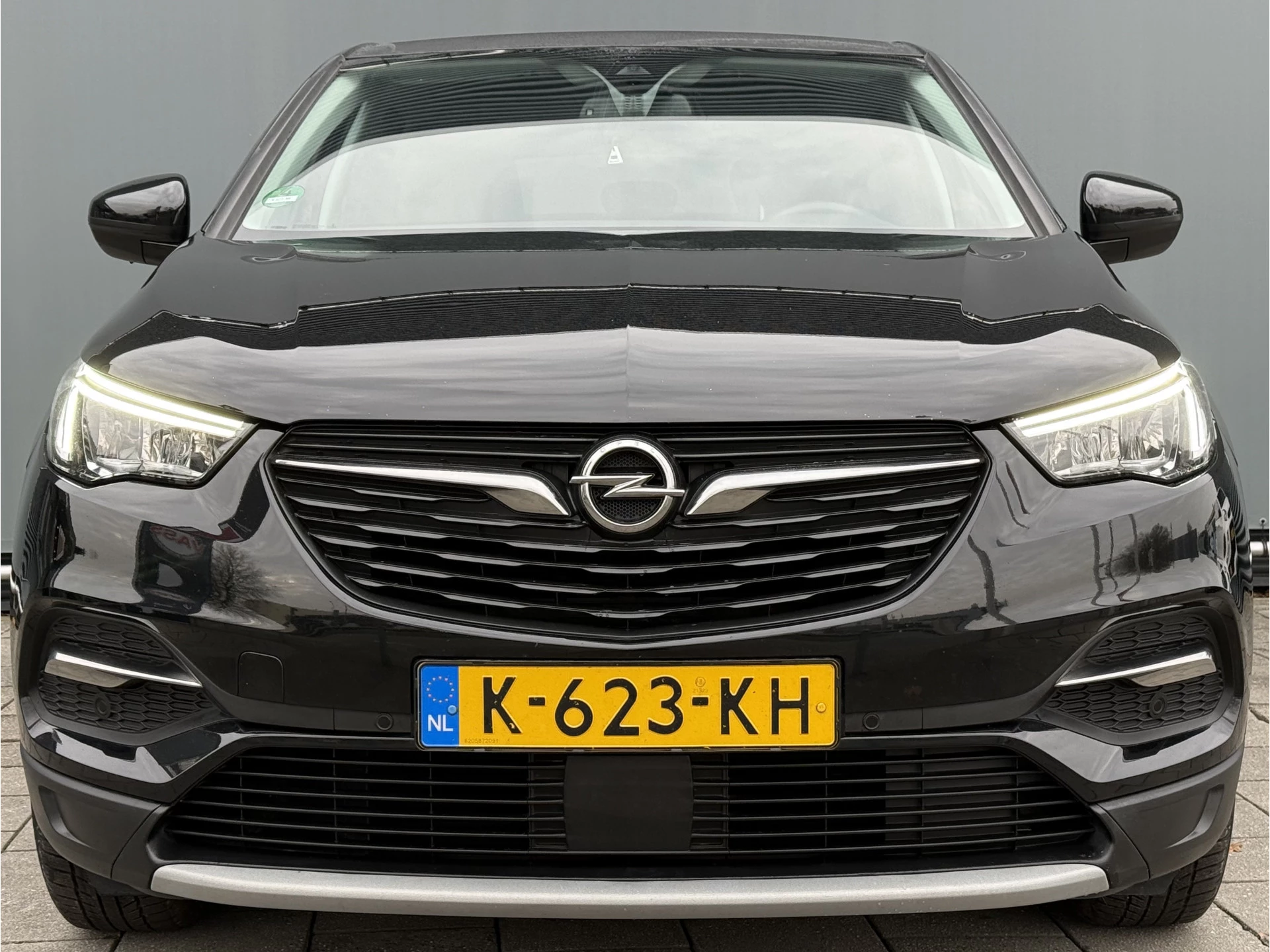 Hoofdafbeelding Opel Grandland X