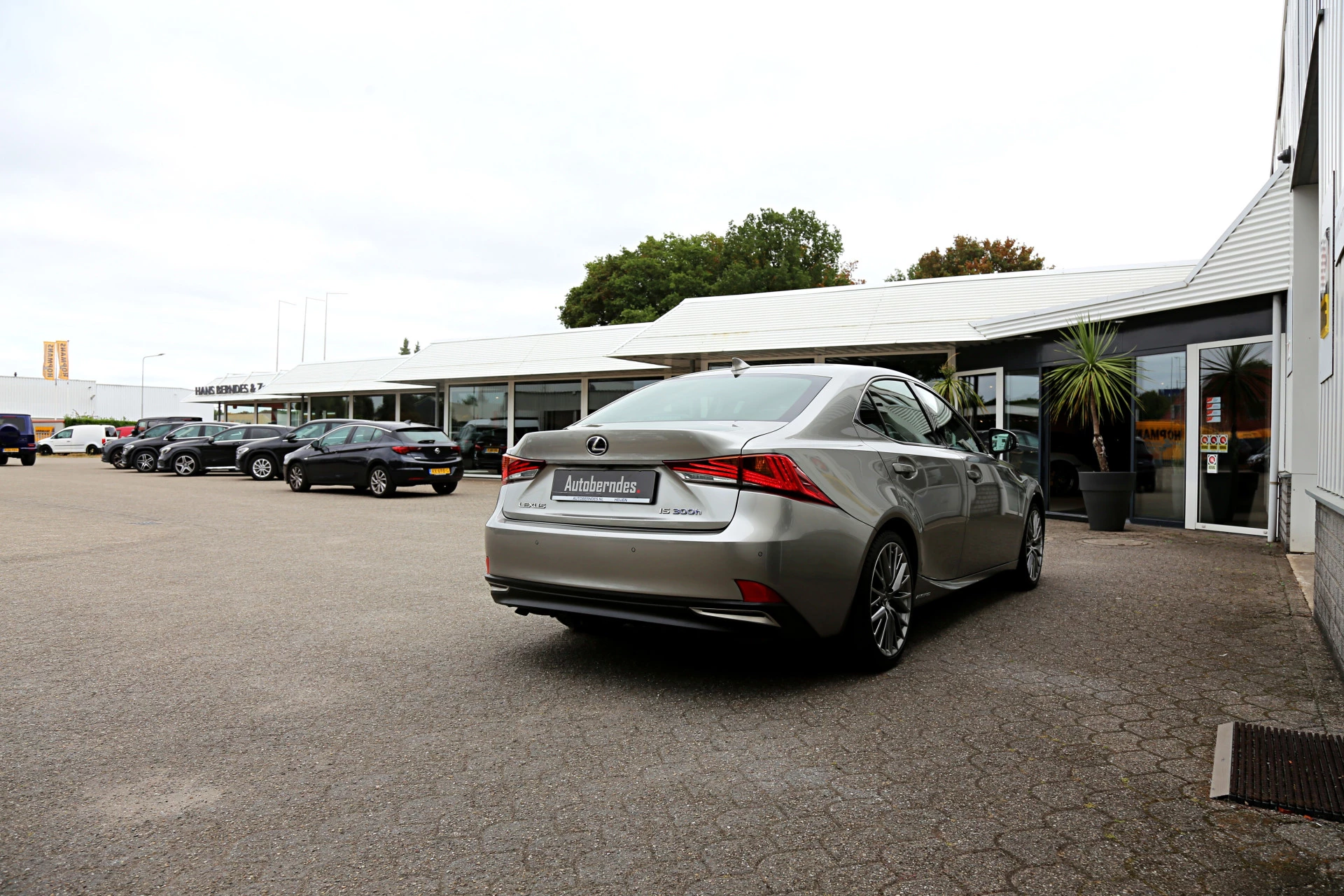Hoofdafbeelding Lexus IS