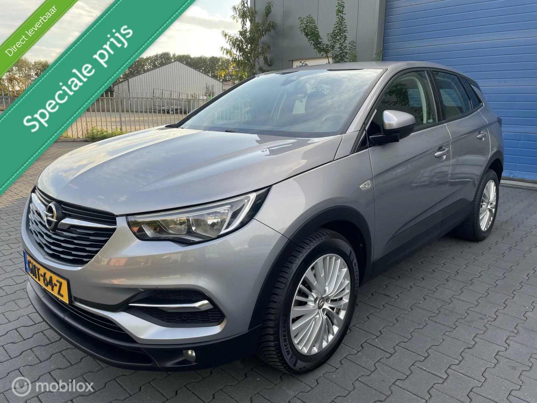 Hoofdafbeelding Opel Grandland X