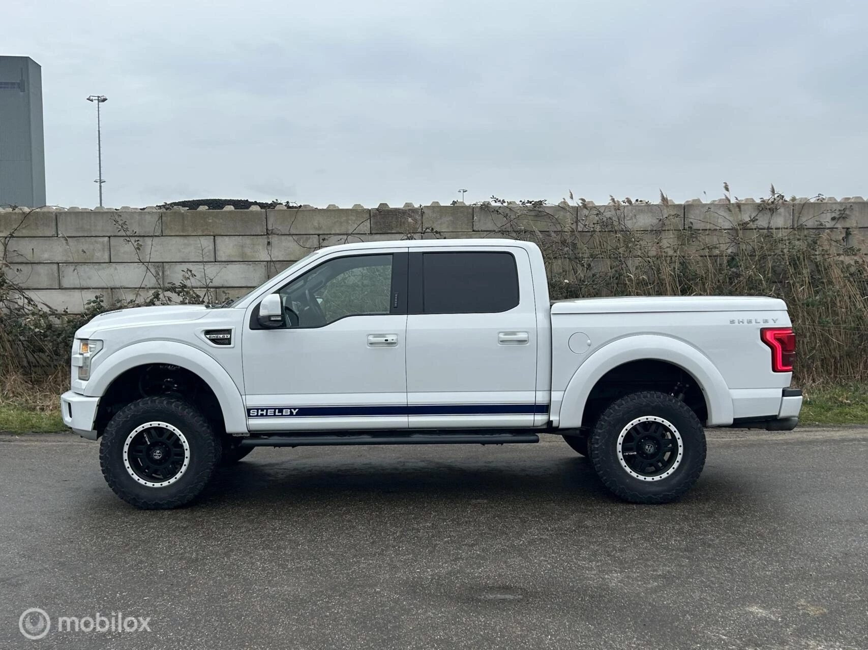 Hoofdafbeelding Ford F-150