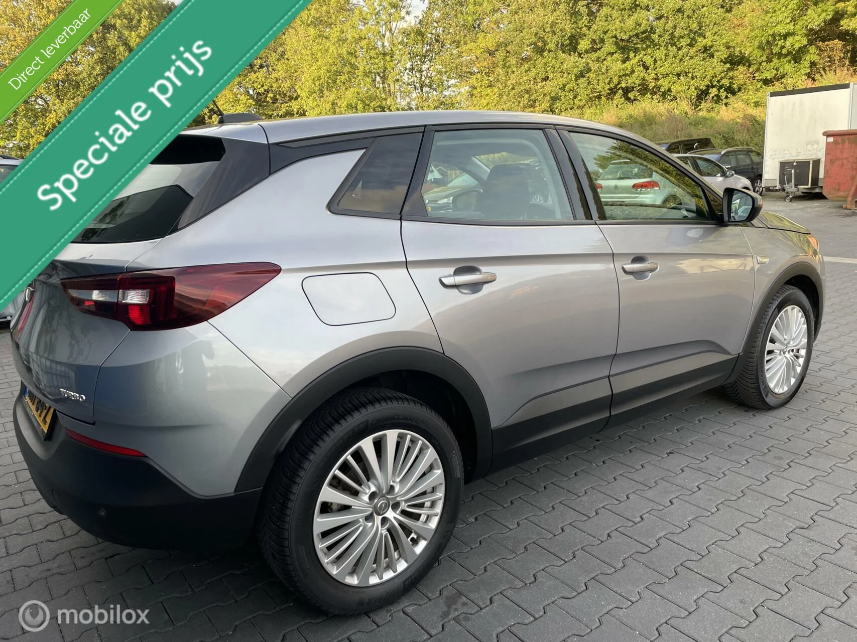 Hoofdafbeelding Opel Grandland X