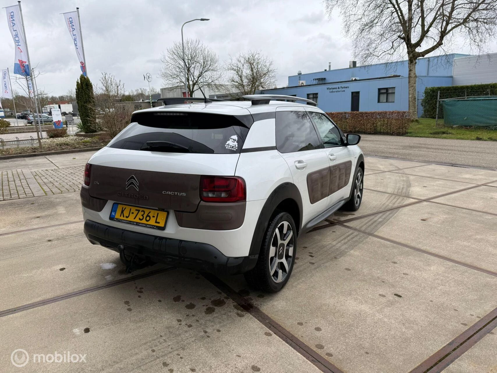 Hoofdafbeelding Citroën C4 Cactus