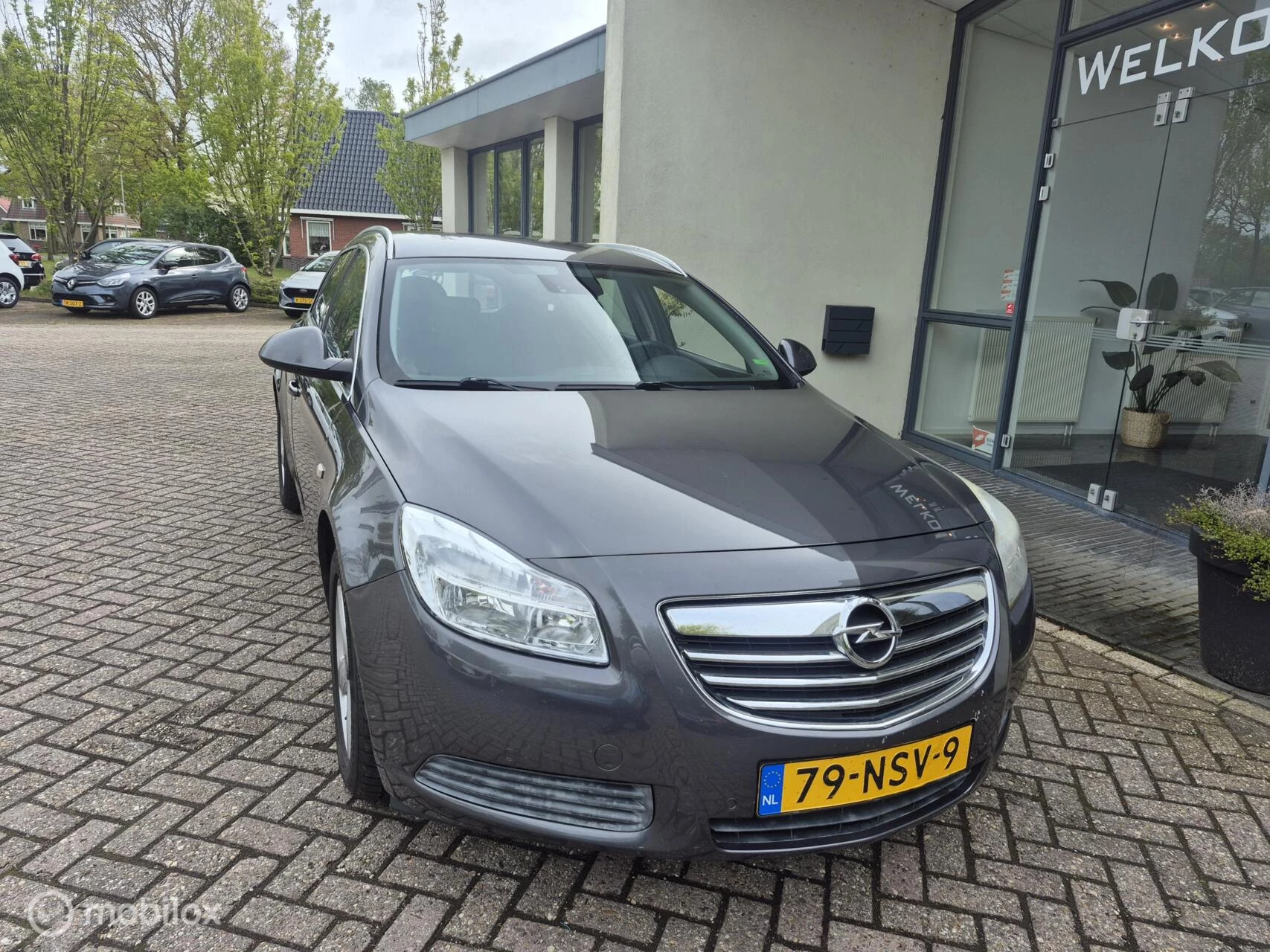 Hoofdafbeelding Opel Insignia