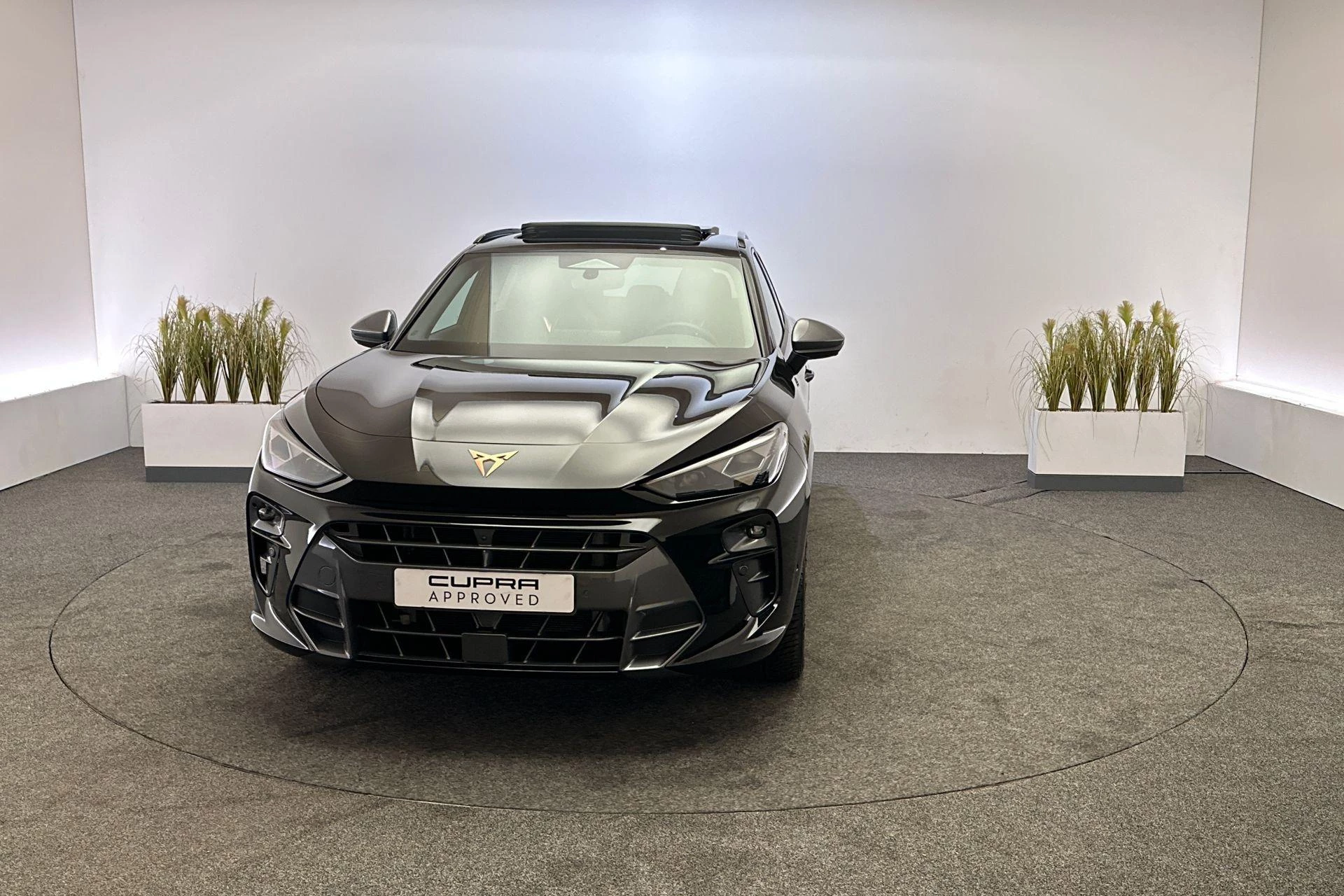 Hoofdafbeelding CUPRA Terramar