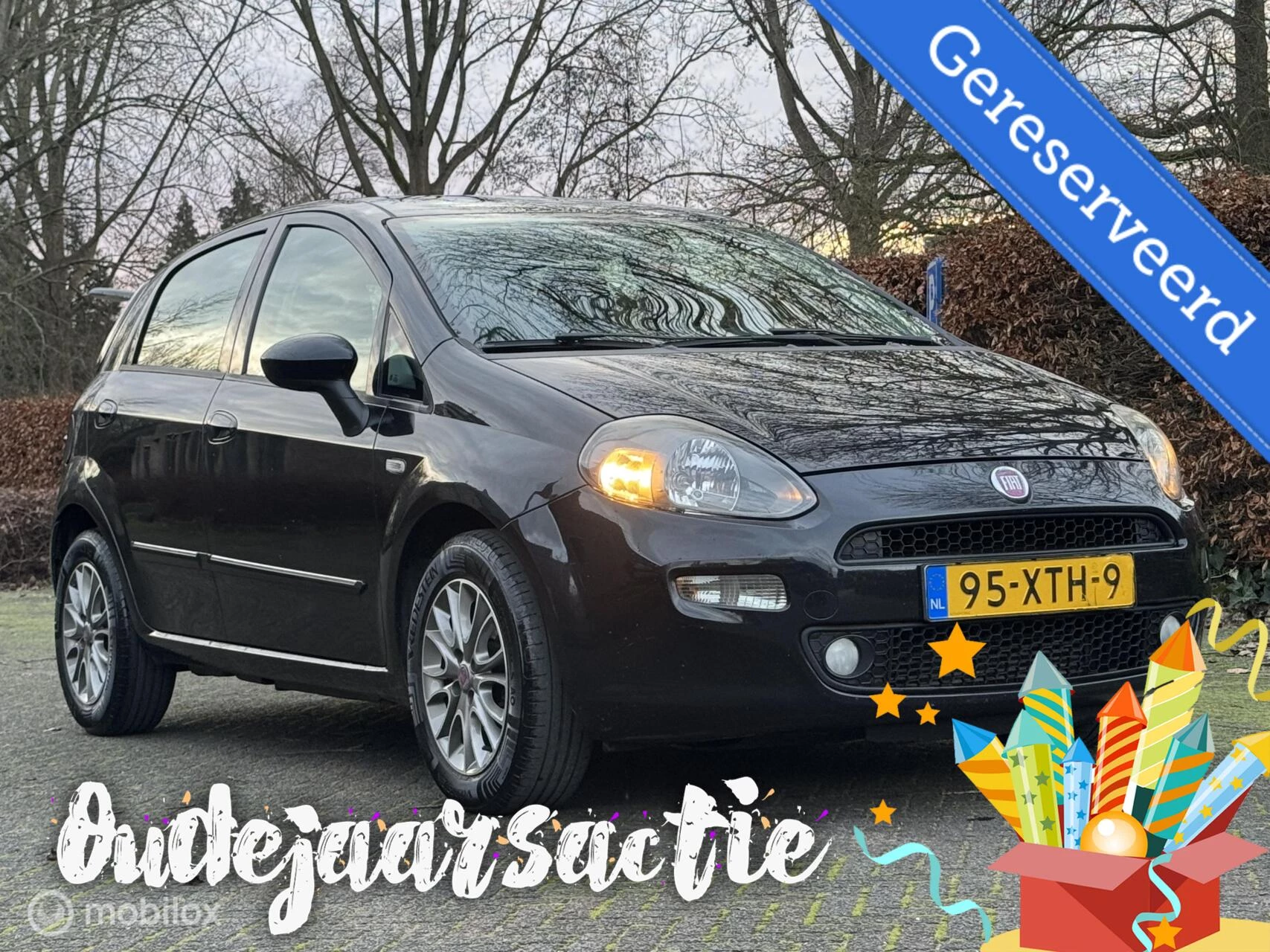 Hoofdafbeelding Fiat Punto