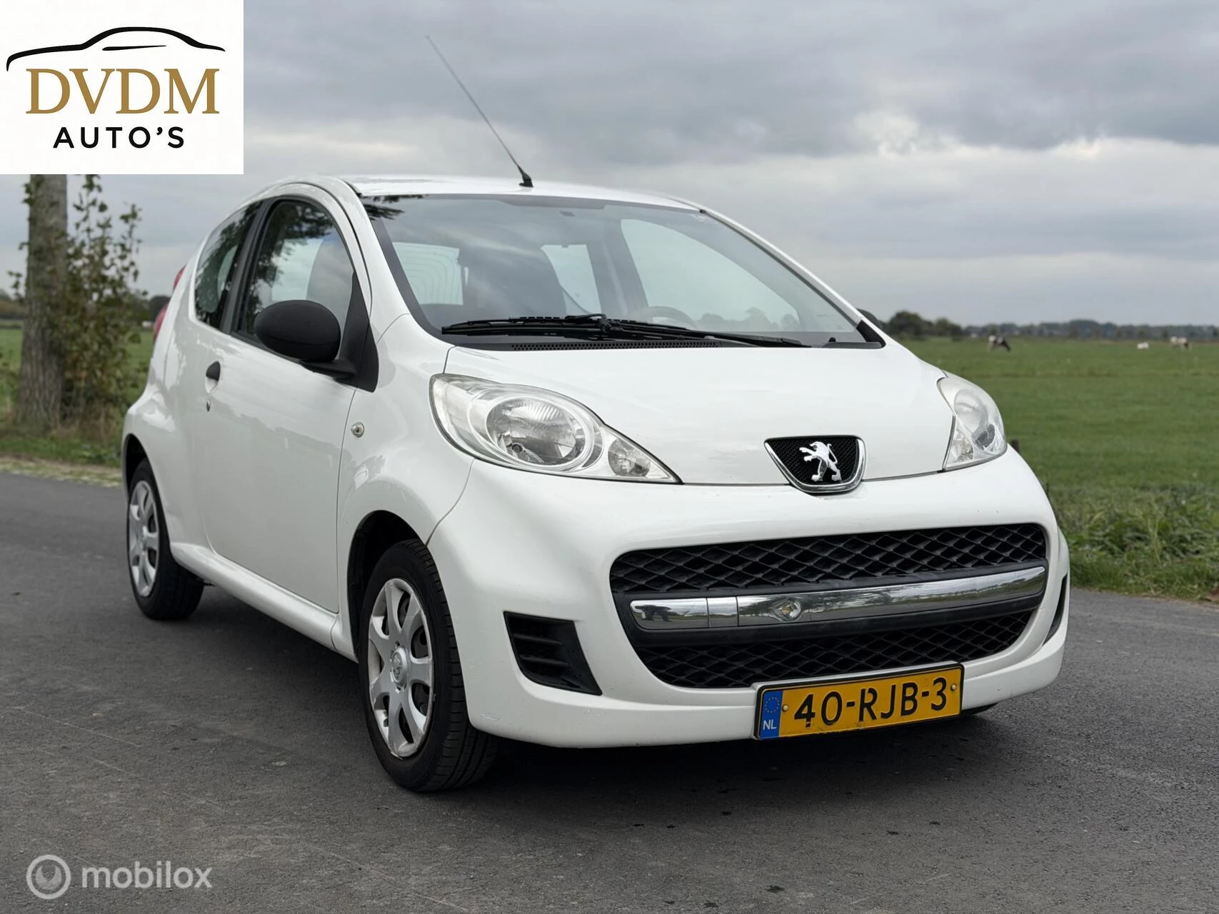 Hoofdafbeelding Peugeot 107