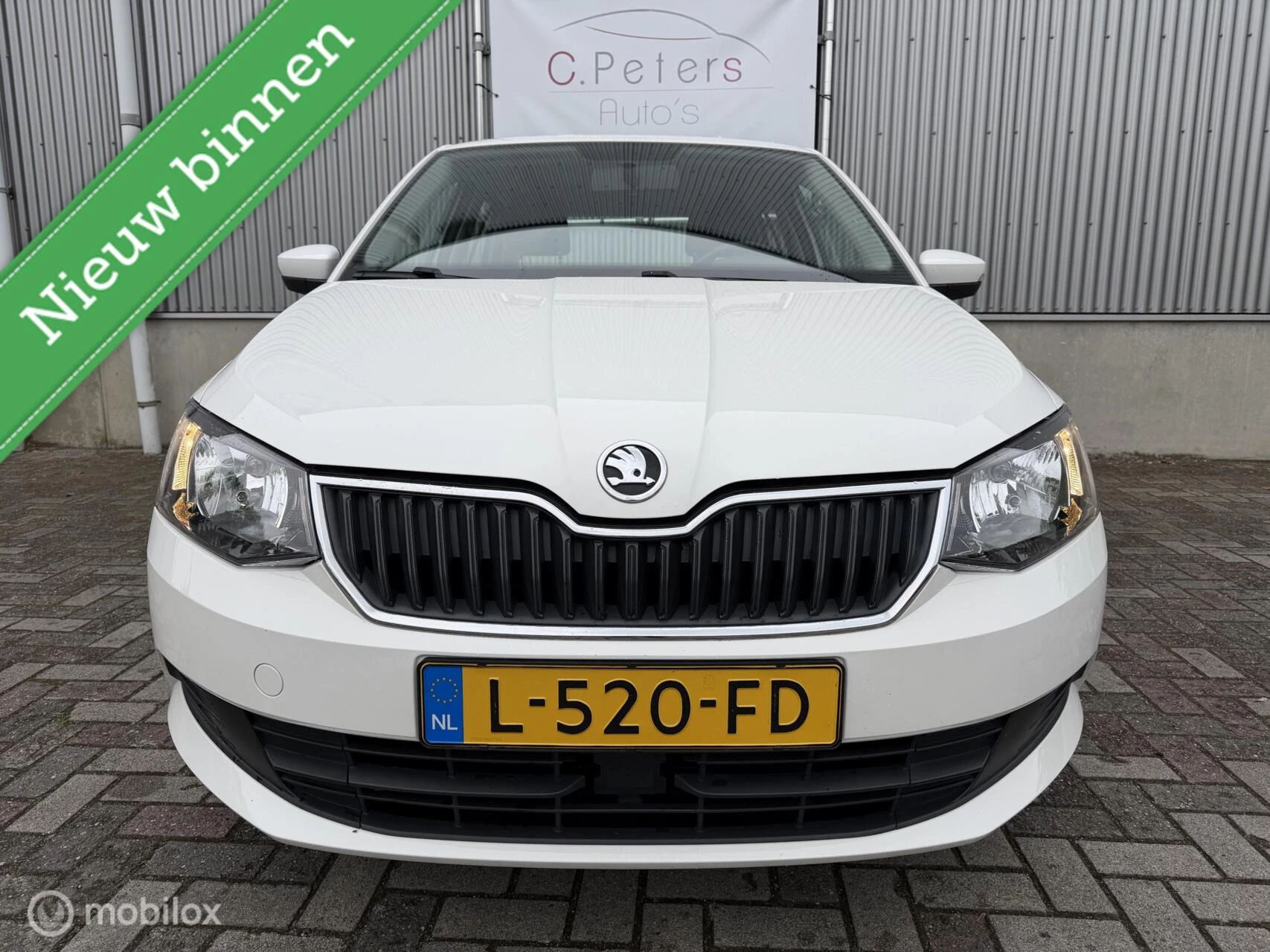 Hoofdafbeelding Škoda Fabia