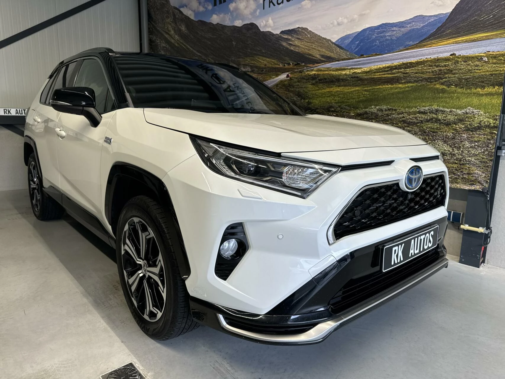 Hoofdafbeelding Toyota RAV4