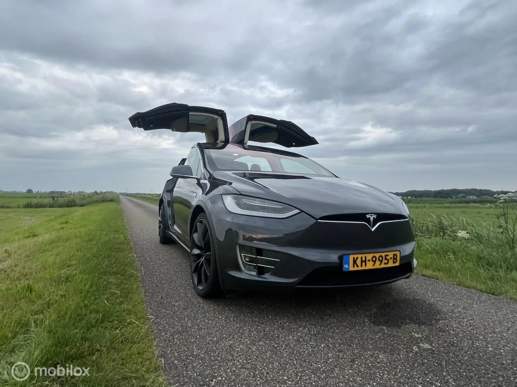 Hoofdafbeelding Tesla Model X