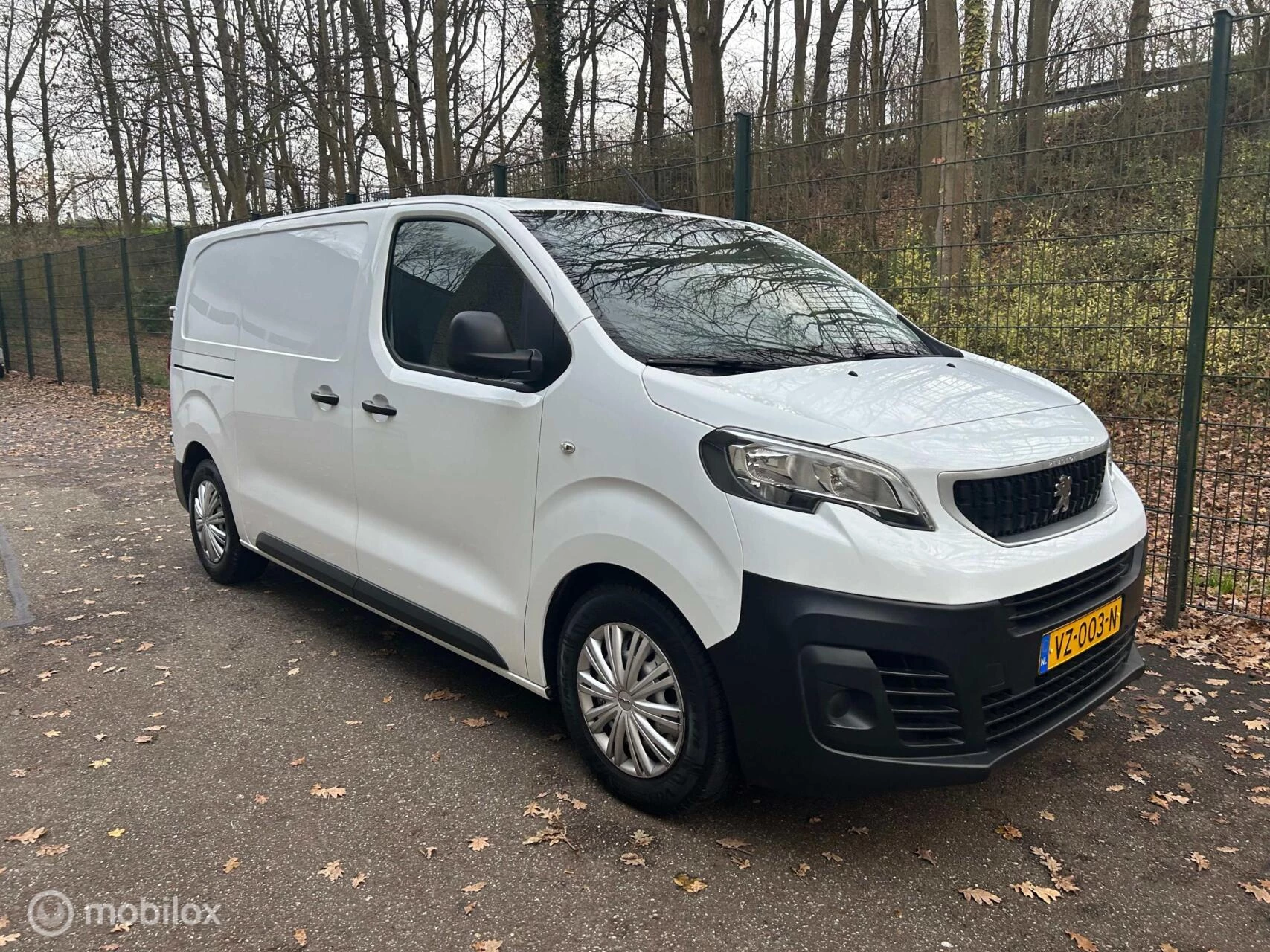 Hoofdafbeelding Peugeot Expert