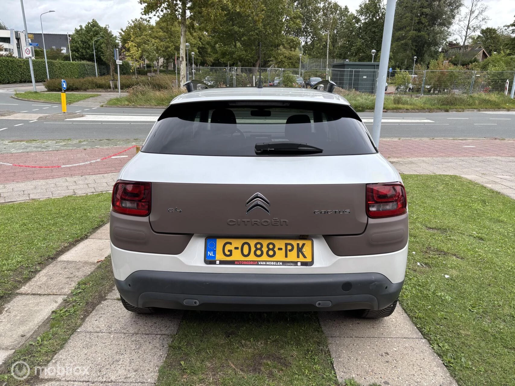 Hoofdafbeelding Citroën C4 Cactus