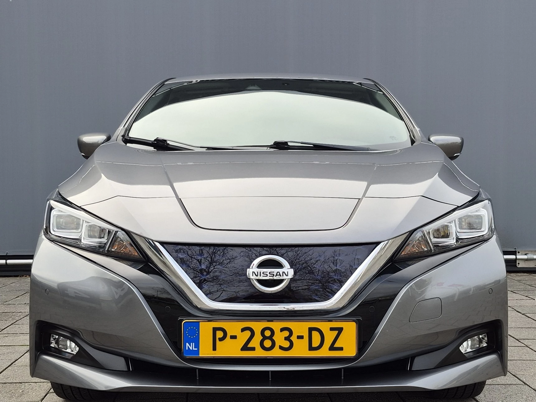 Hoofdafbeelding Nissan Leaf
