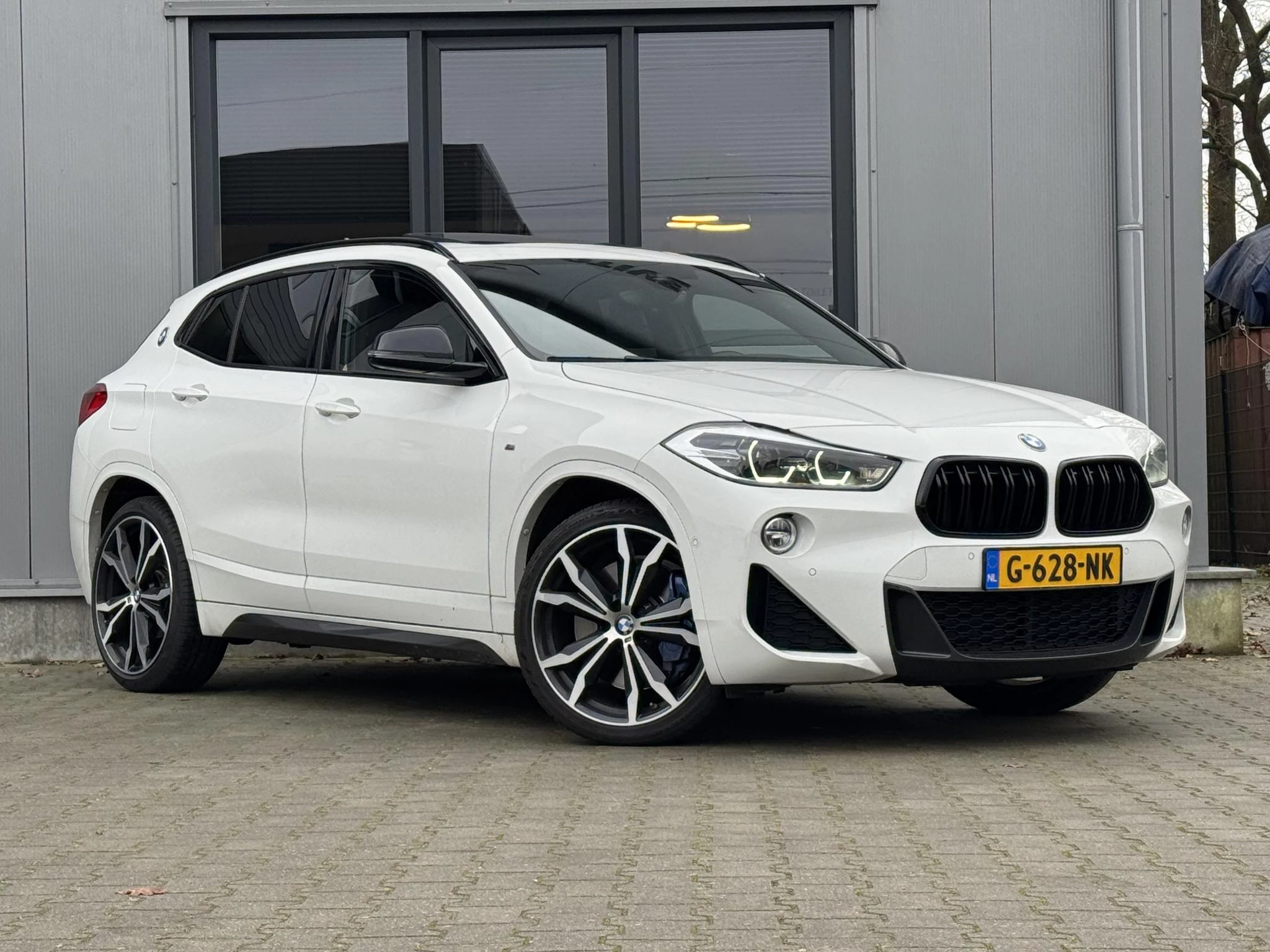 Hoofdafbeelding BMW X2