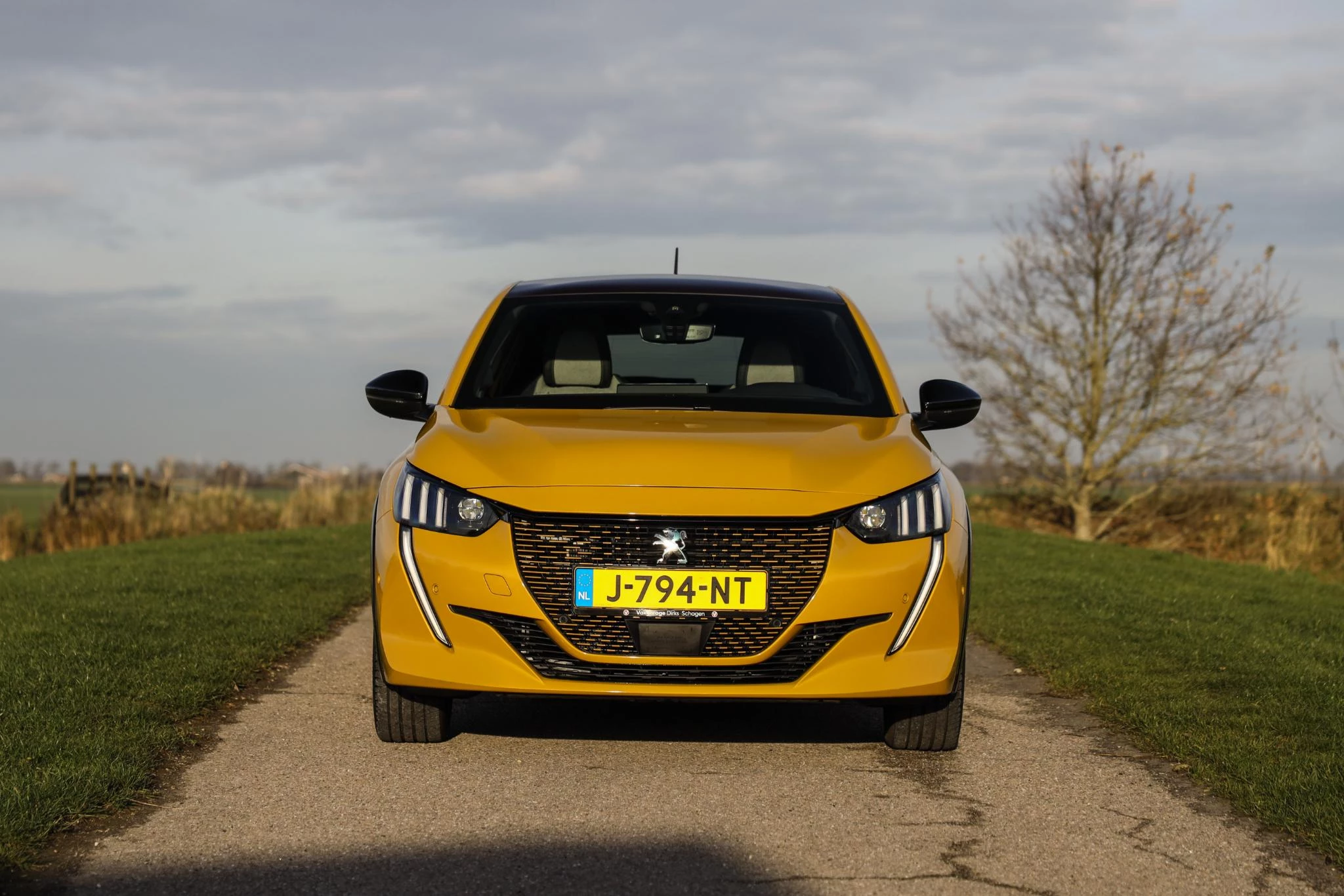 Hoofdafbeelding Peugeot e-208