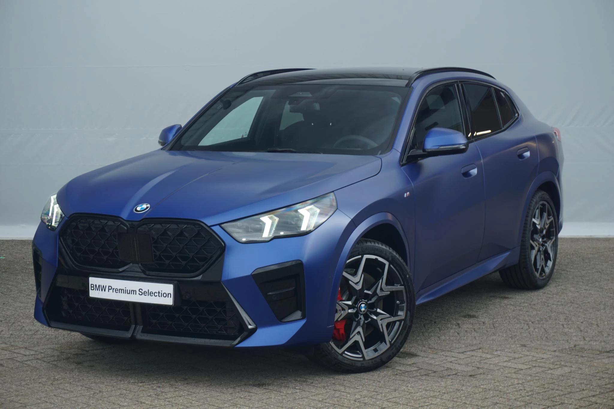 Hoofdafbeelding BMW X2