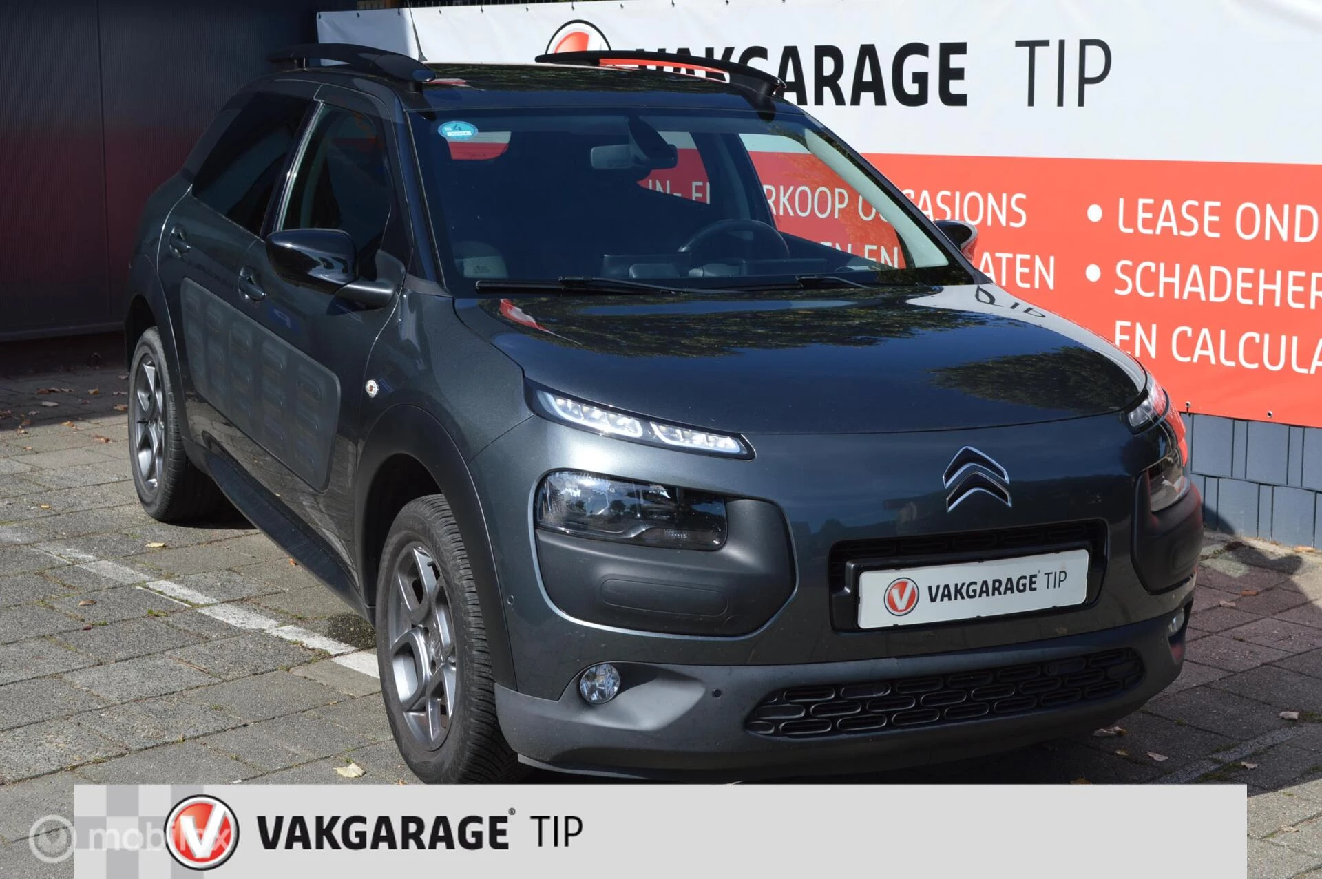 Hoofdafbeelding Citroën C4 Cactus
