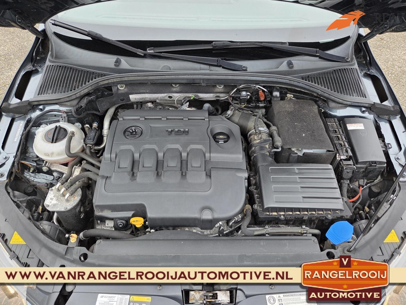 Hoofdafbeelding Škoda Octavia