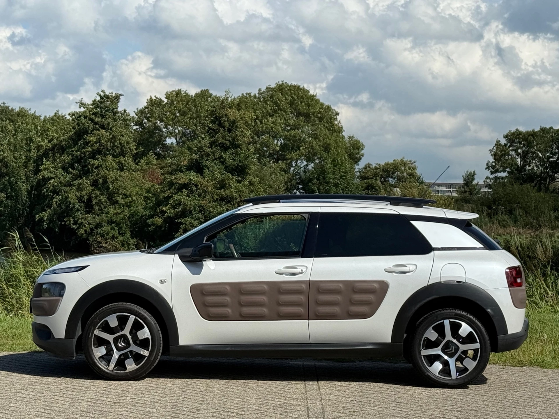 Hoofdafbeelding Citroën C4 Cactus