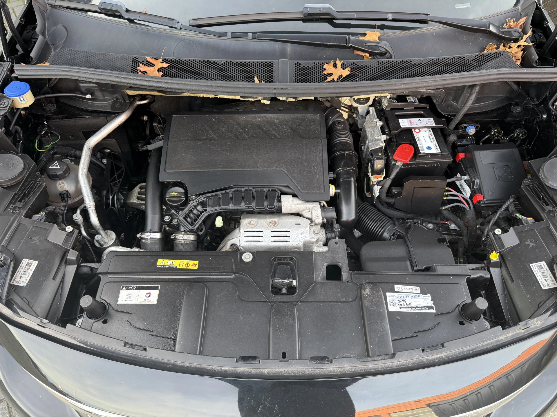 Hoofdafbeelding Peugeot 5008