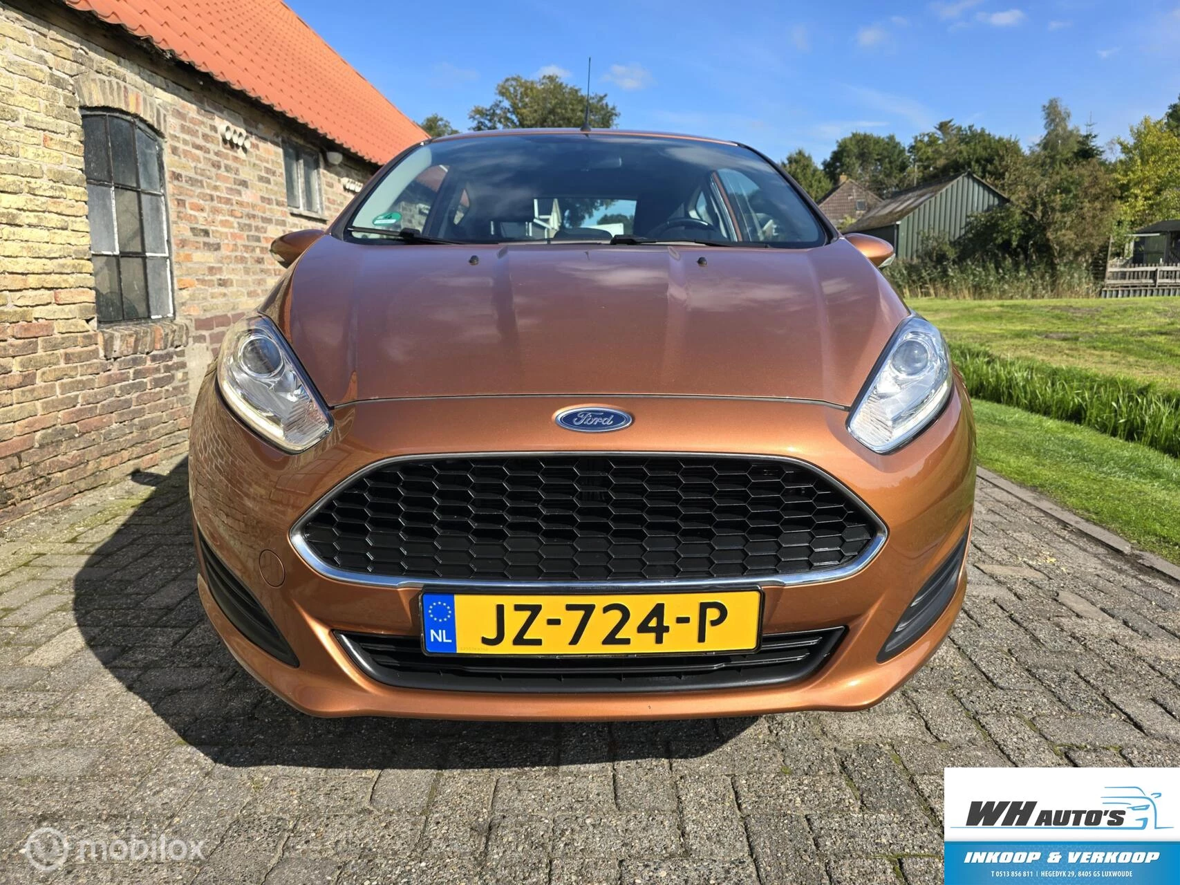 Hoofdafbeelding Ford Fiesta