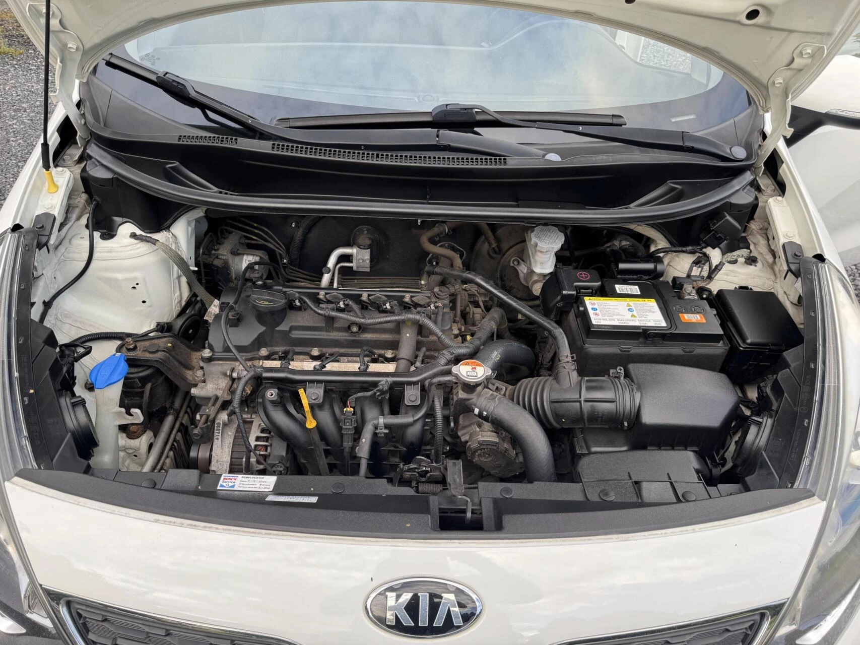Hoofdafbeelding Kia Rio