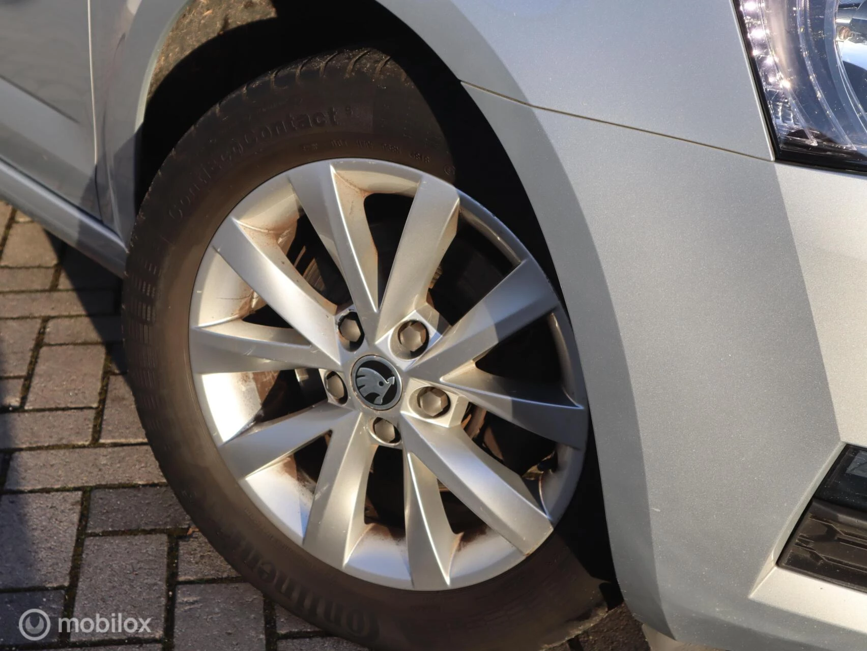 Hoofdafbeelding Škoda Octavia