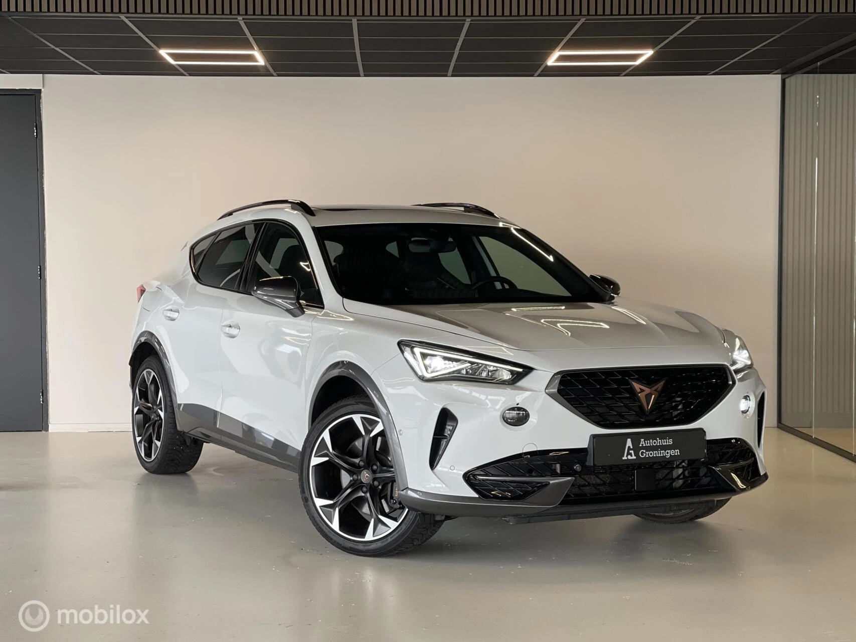 Hoofdafbeelding CUPRA Formentor
