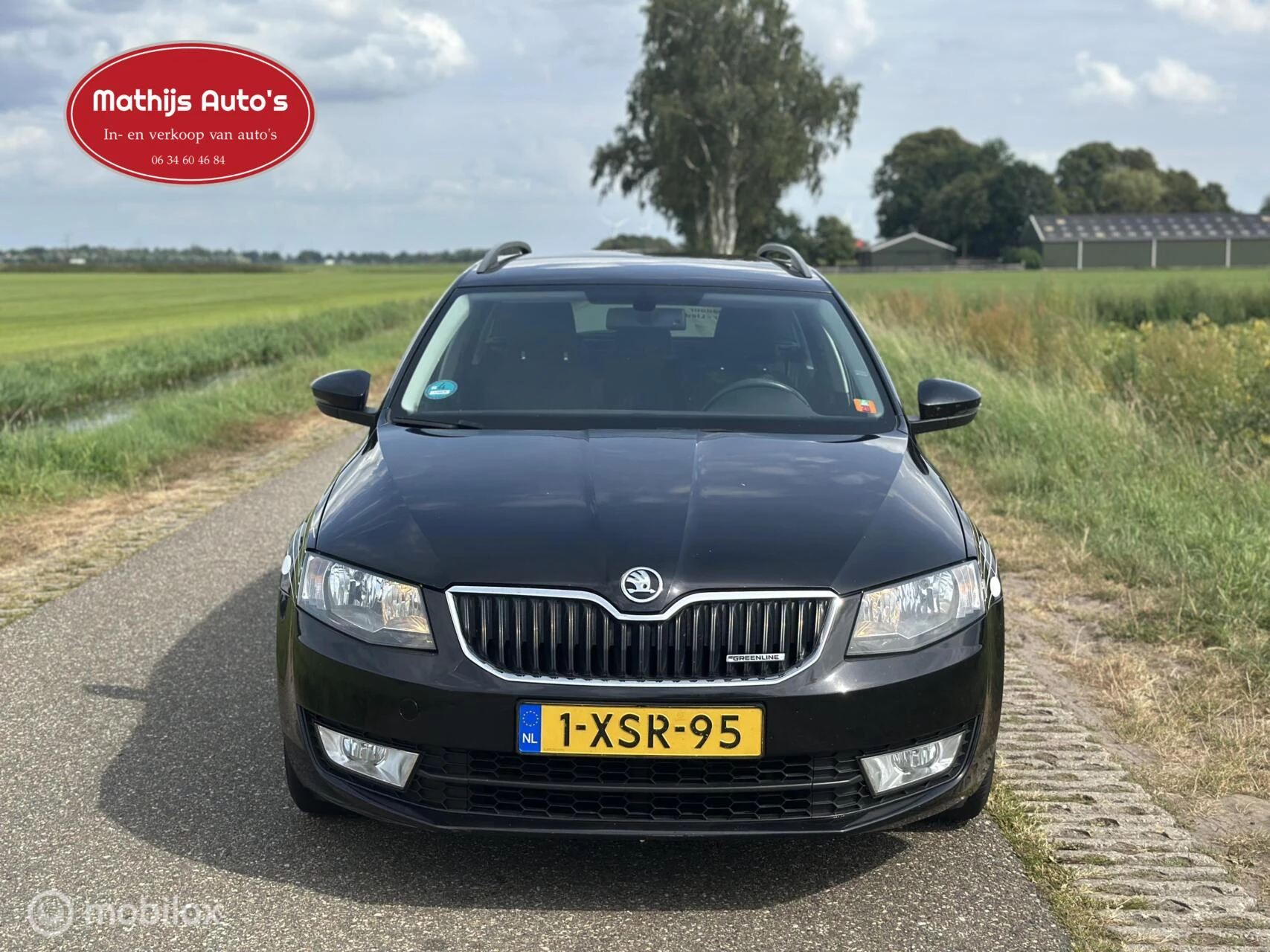 Hoofdafbeelding Škoda Octavia