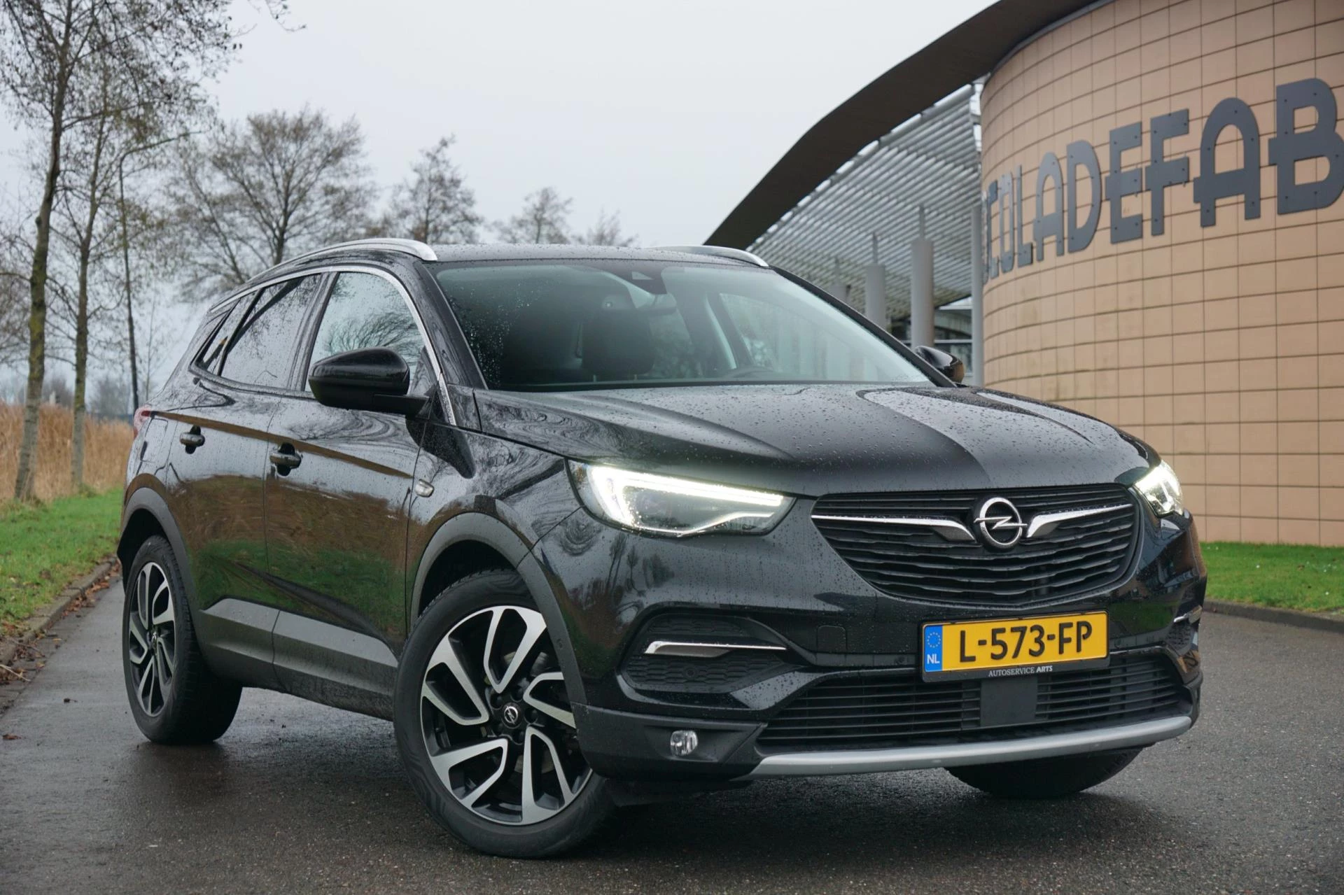 Hoofdafbeelding Opel Grandland X