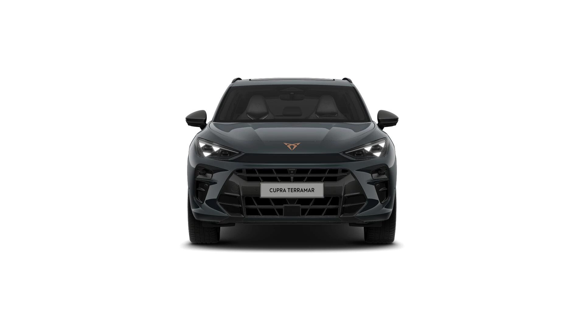 Hoofdafbeelding CUPRA Terramar