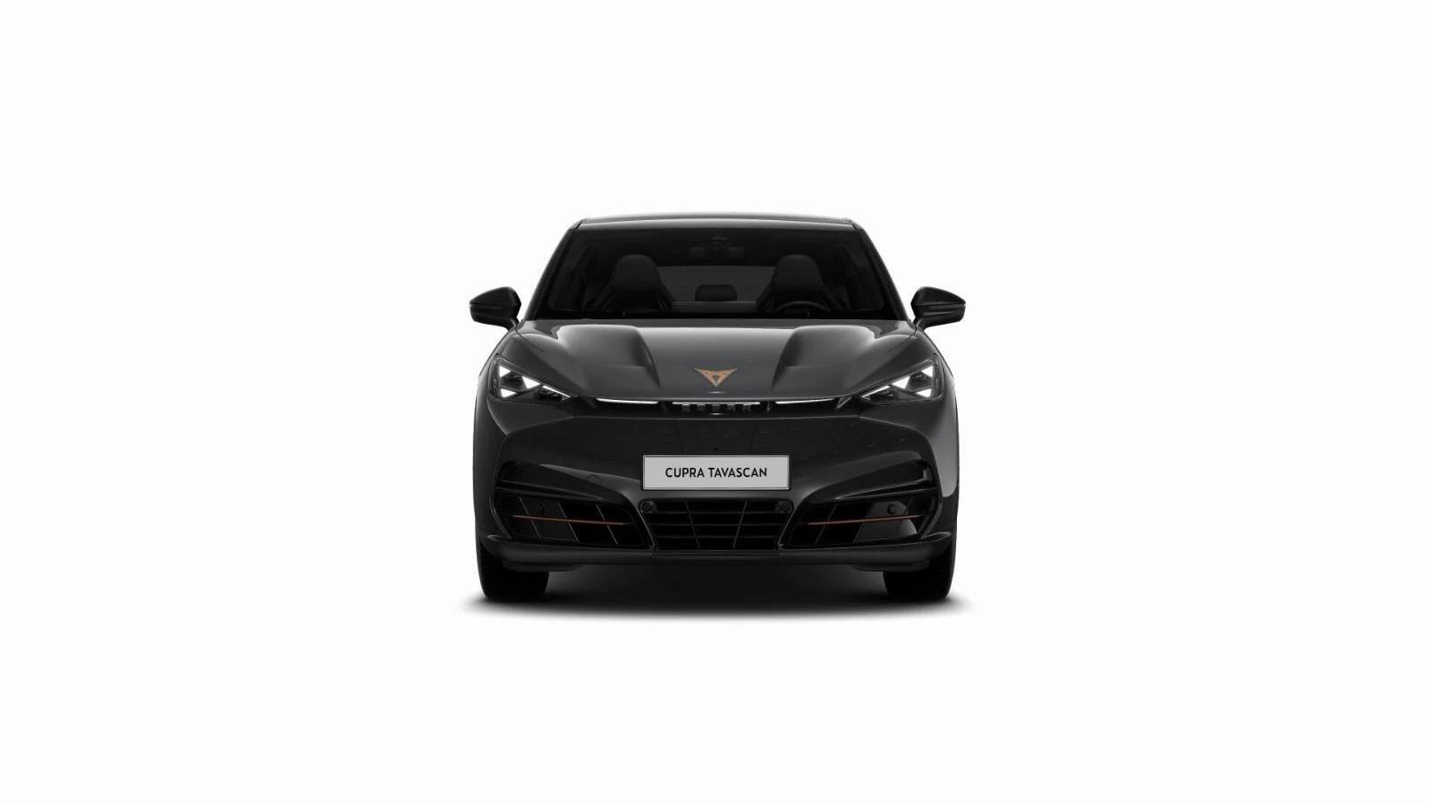 Hoofdafbeelding CUPRA Tavascan