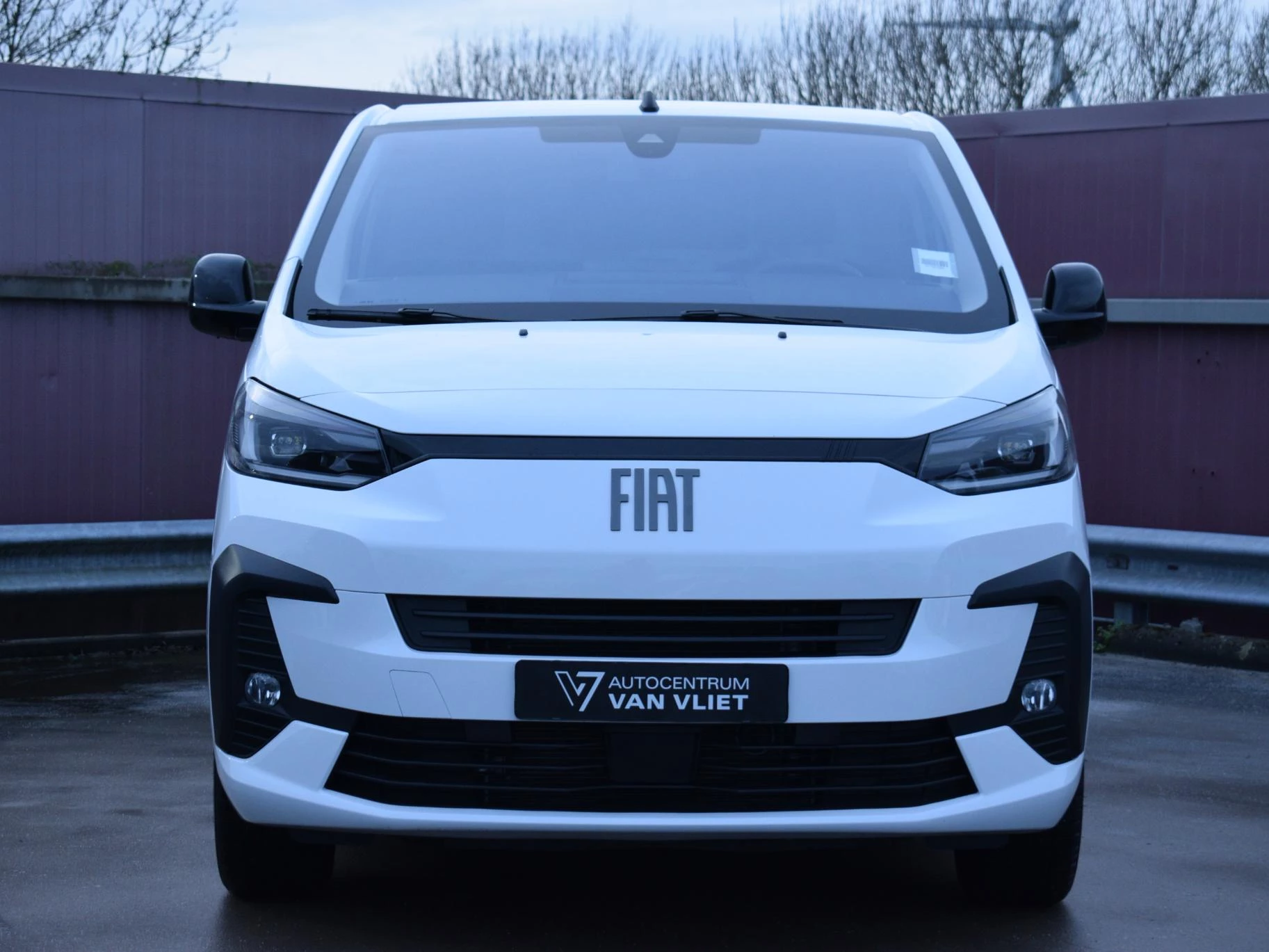 Hoofdafbeelding Fiat E-Scudo